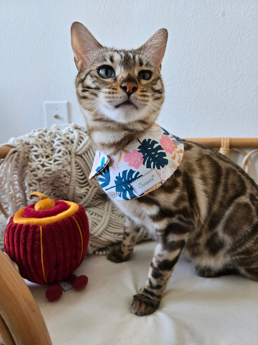 La Meow Meow Pet Bandana (reversible 4-way wear)