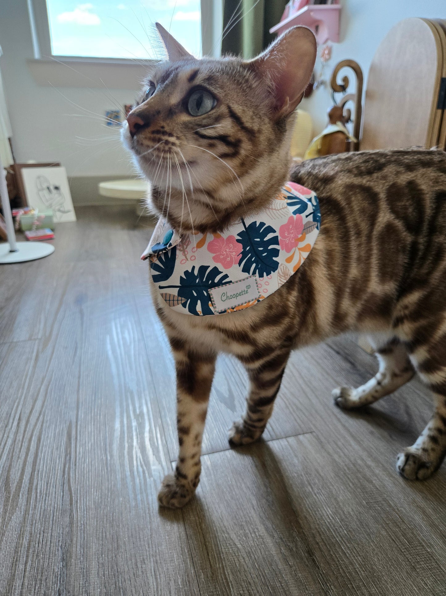 La Meow Meow Pet Bandana (reversible 4-way wear)