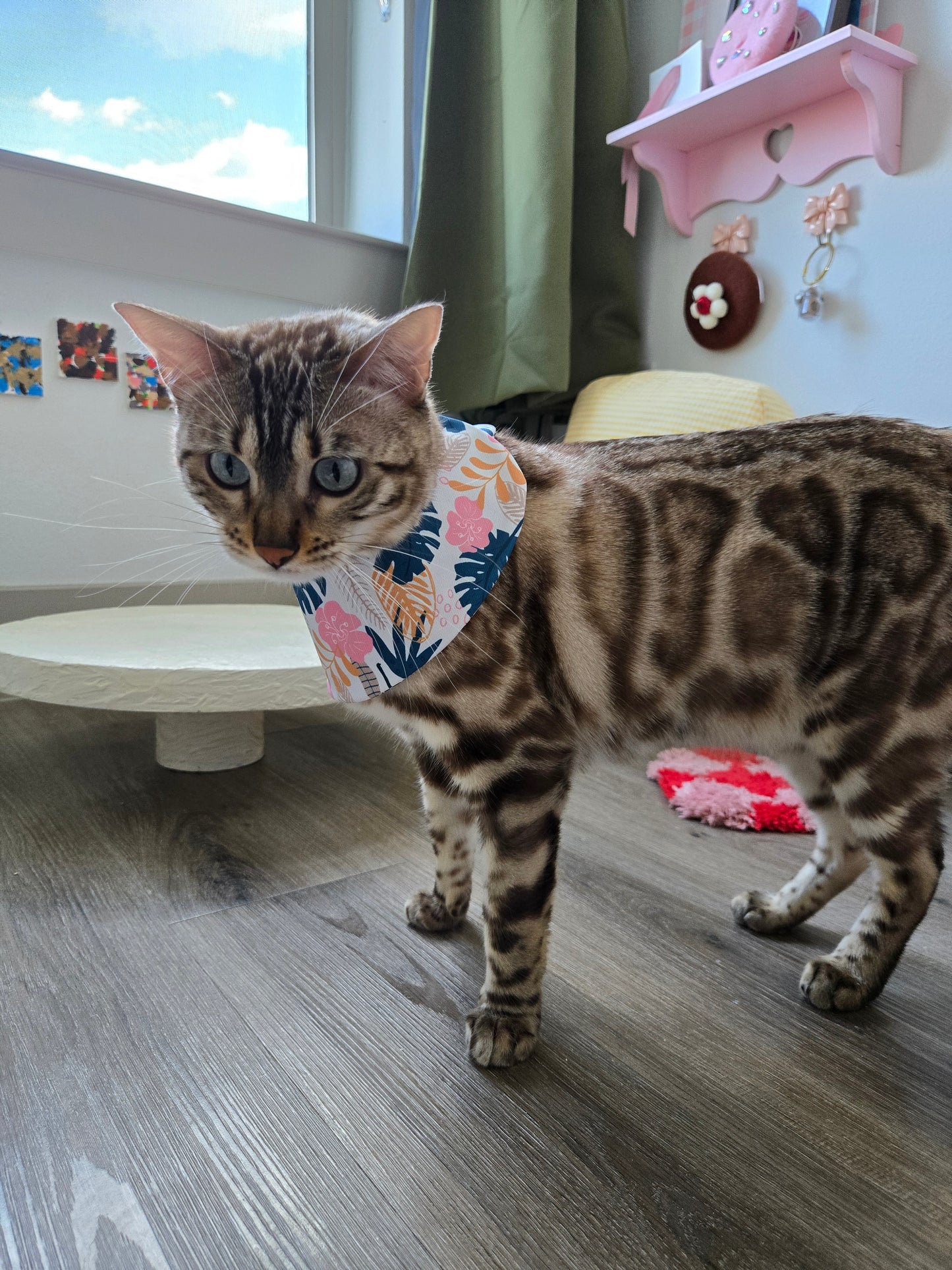 La Meow Meow Pet Bandana (reversible 4-way wear)