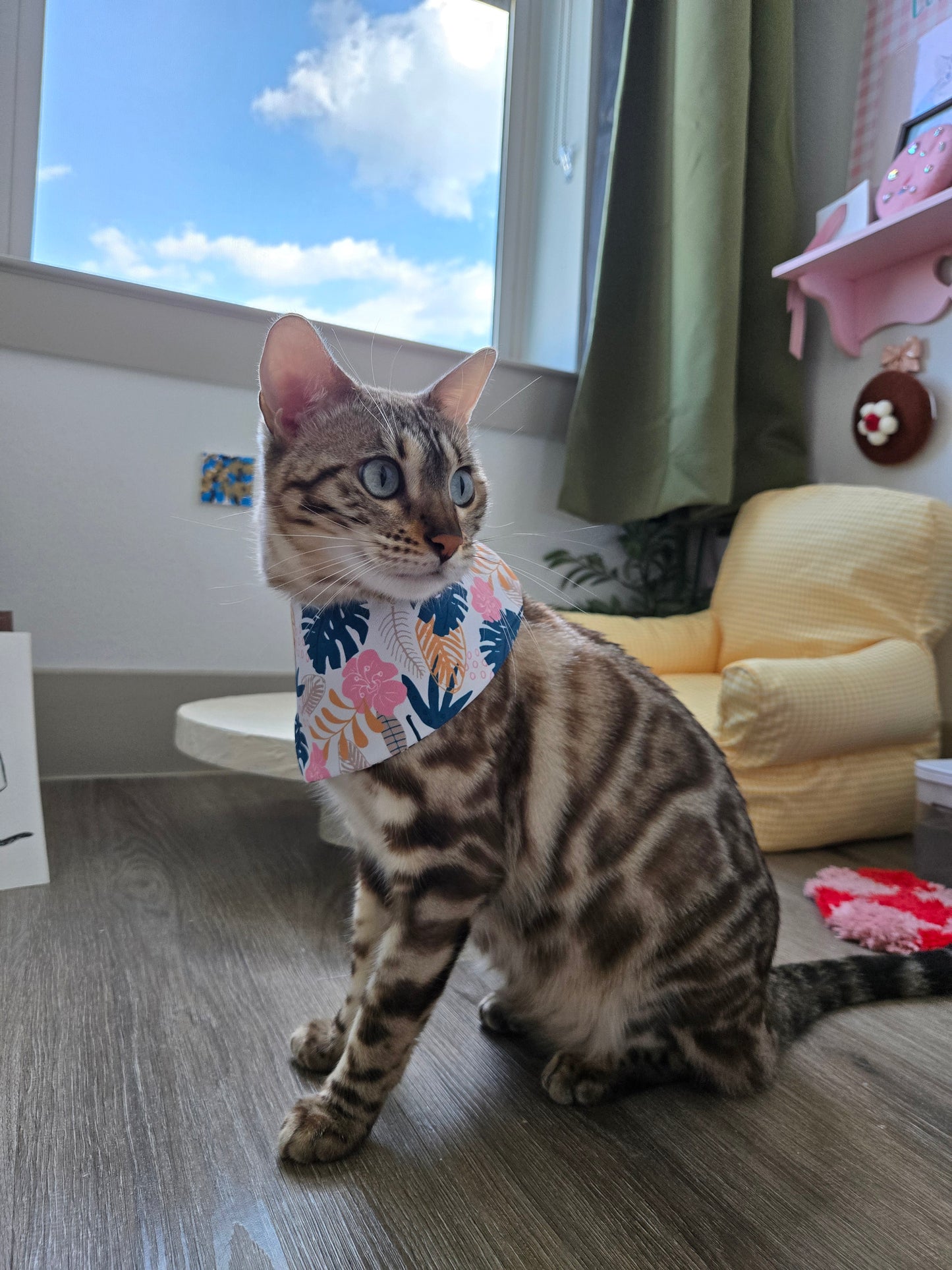 La Meow Meow Pet Bandana (reversible 4-way wear)