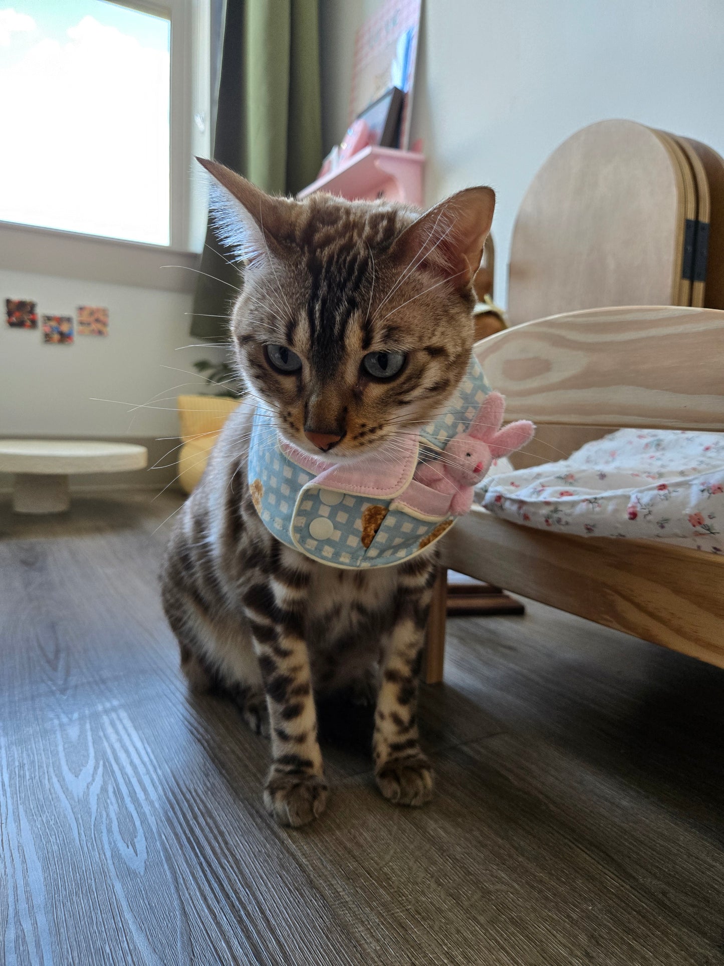Teddy Bunny Pet Pajamas