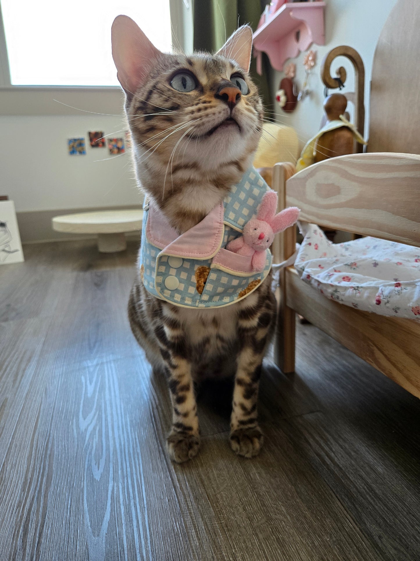 Teddy Bunny Pet Pajamas