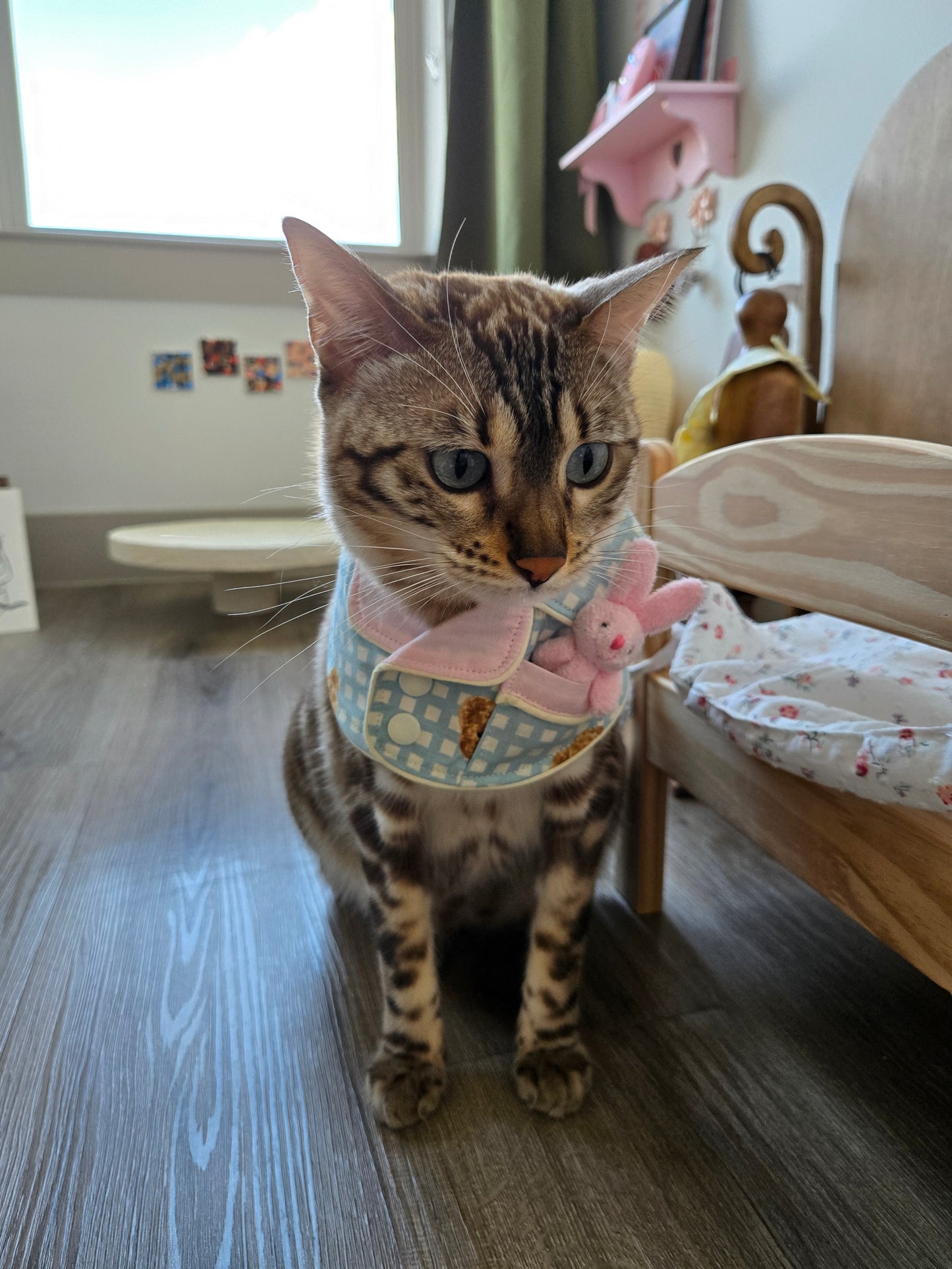Teddy Bunny Pet Pajamas