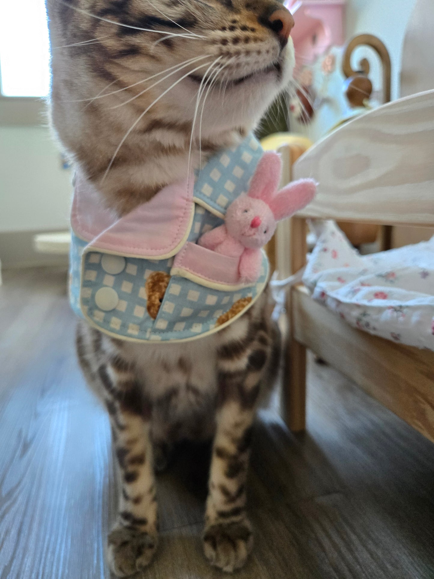 Teddy Bunny Pet Pajamas