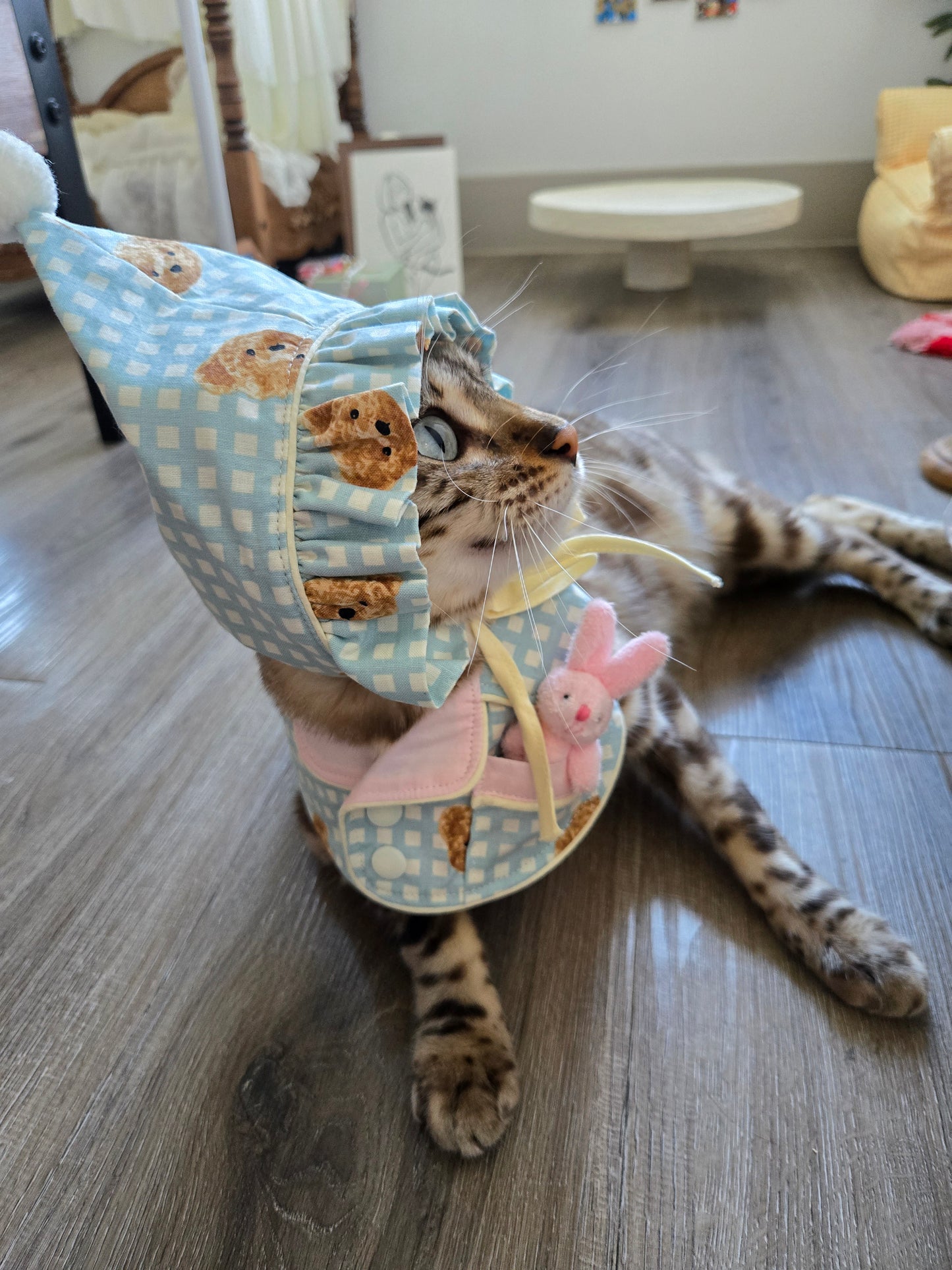 Teddy Bunny Pet Hat