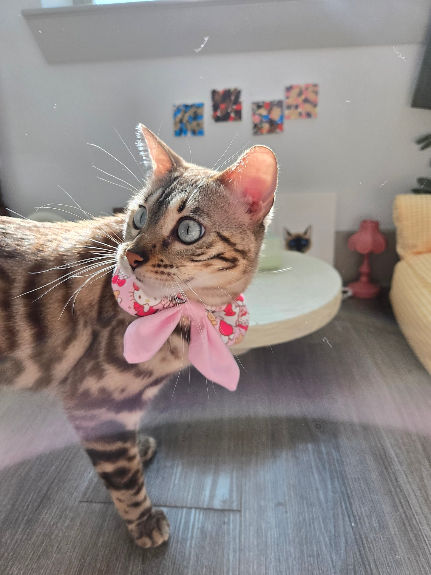 Sweetheart Academy girl Pet Bandana