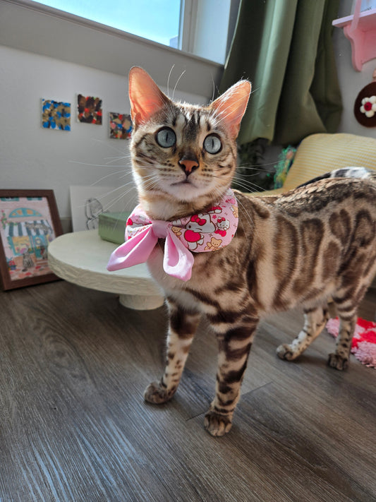 Sweetheart Academy girl Pet Bandana