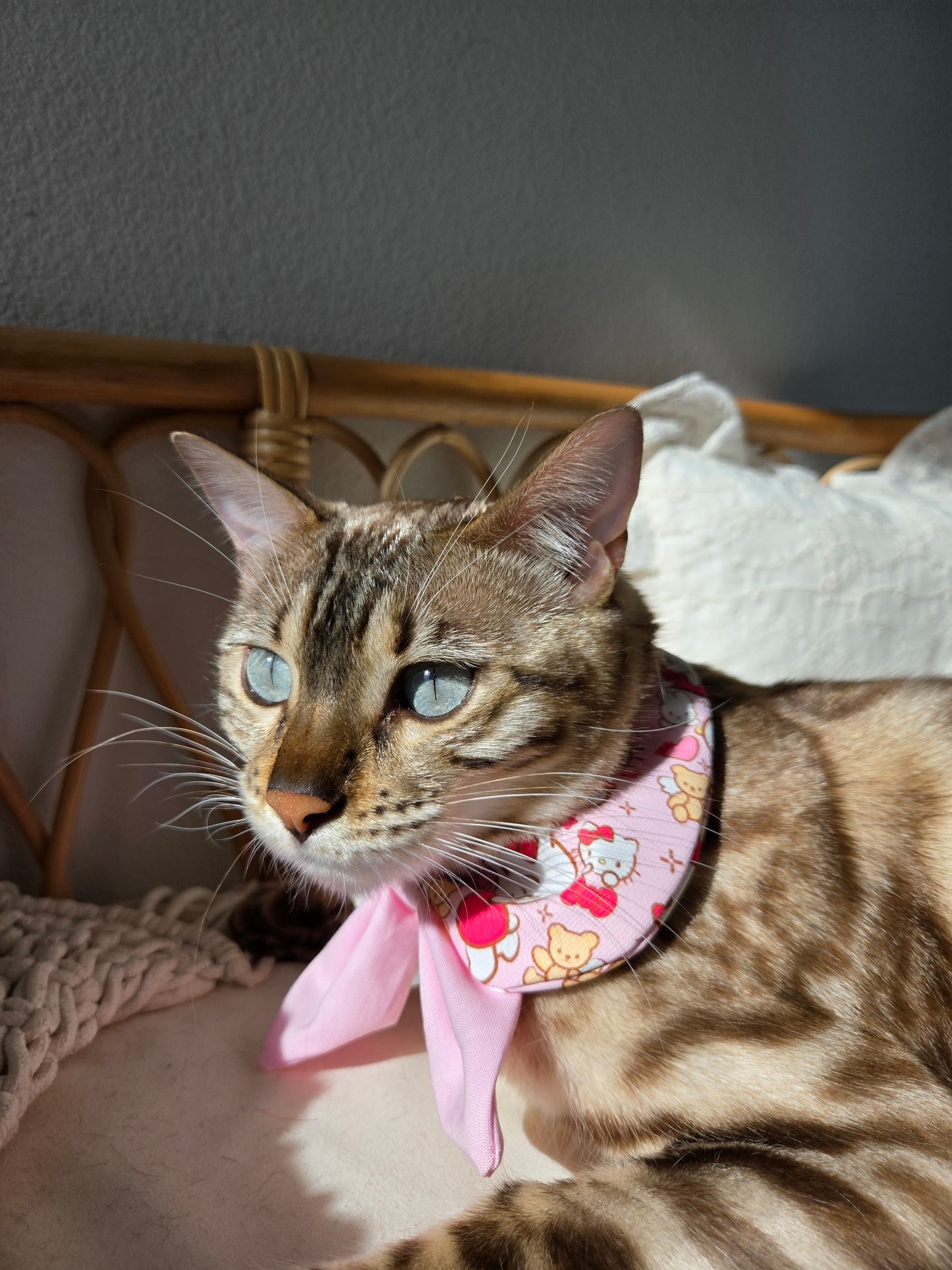 Sweetheart Academy girl Pet Bandana