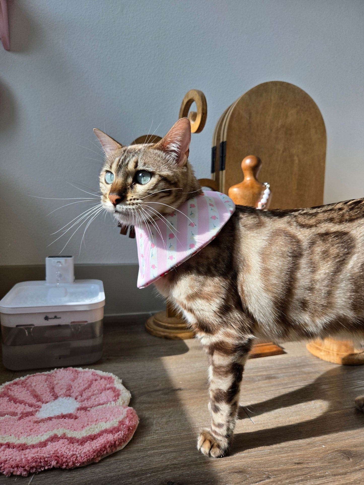 Kitty and Bear Pet Bandana (reversible 4-way wear)