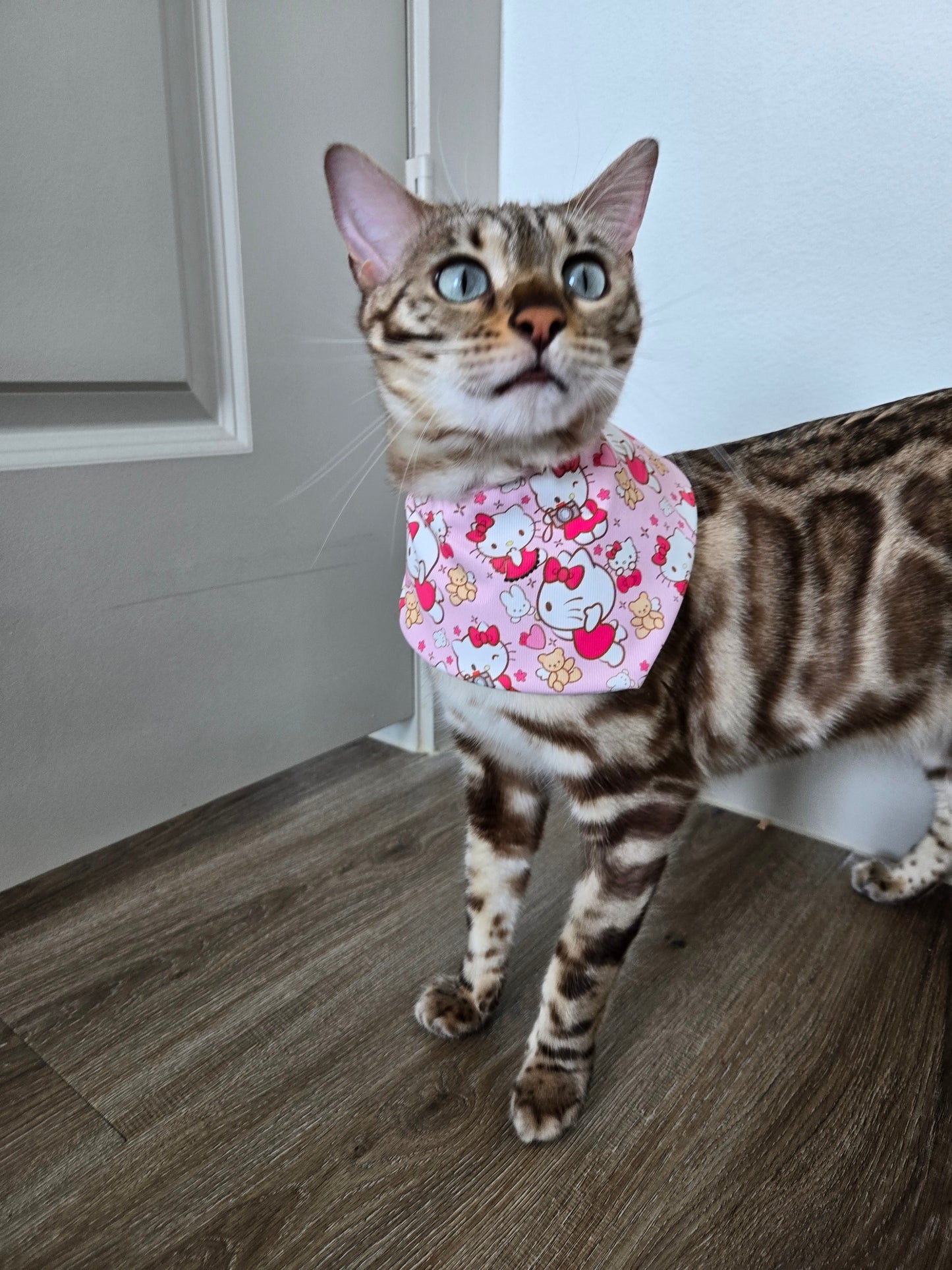 Kitty and Bear Pet Bandana (reversible 4-way wear)