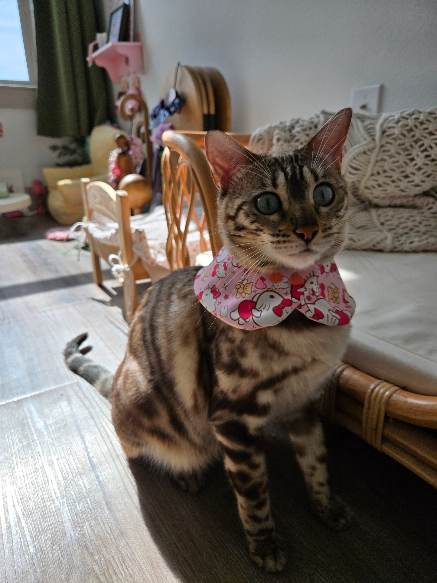 Kitty and Bear Pet Bandana (reversible 4-way wear)
