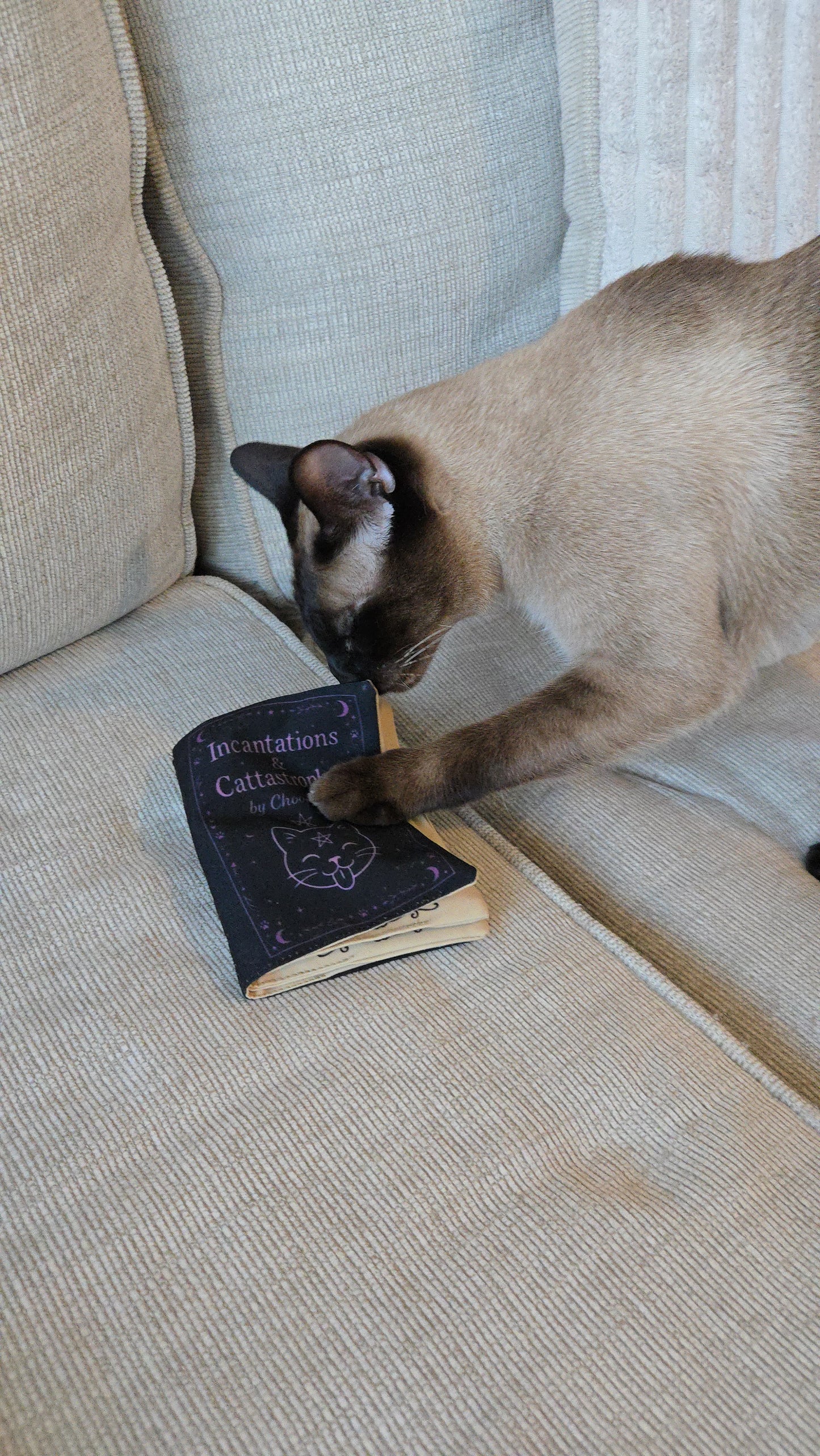 Ancient Meowgic Crinkle Catnip Spell Book
