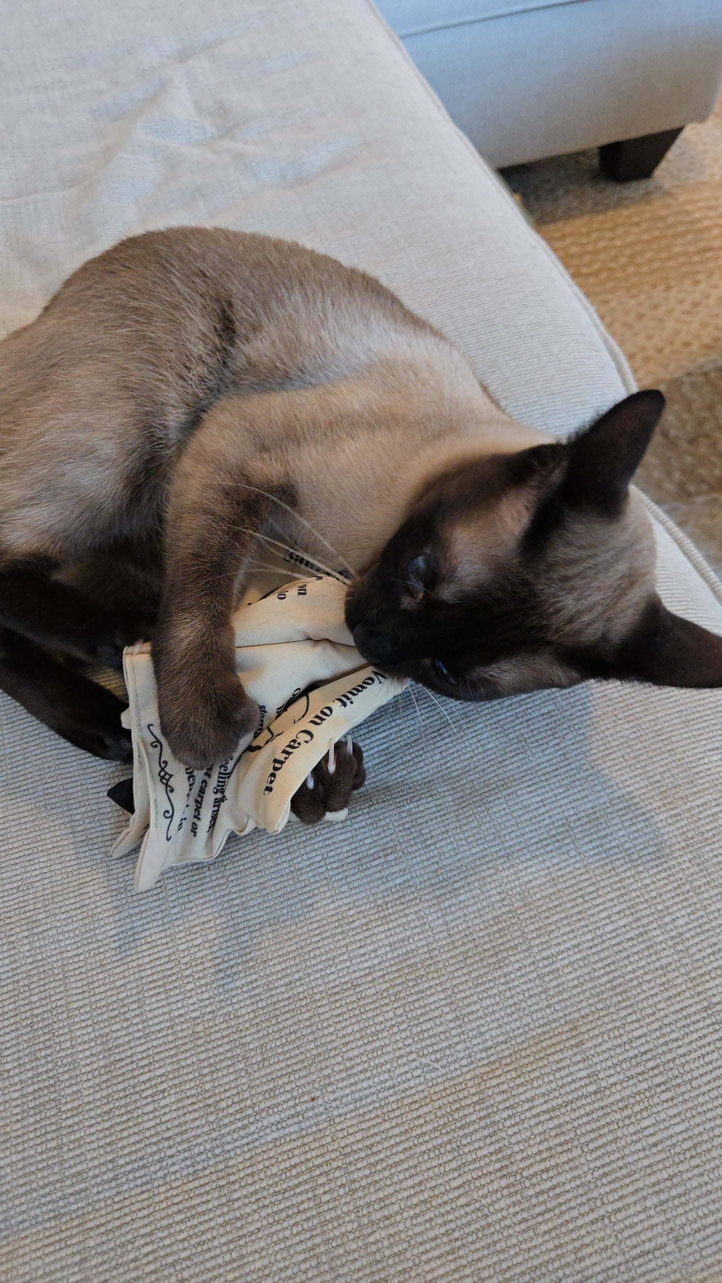 Ancient Meowgic Crinkle Catnip Spell Book