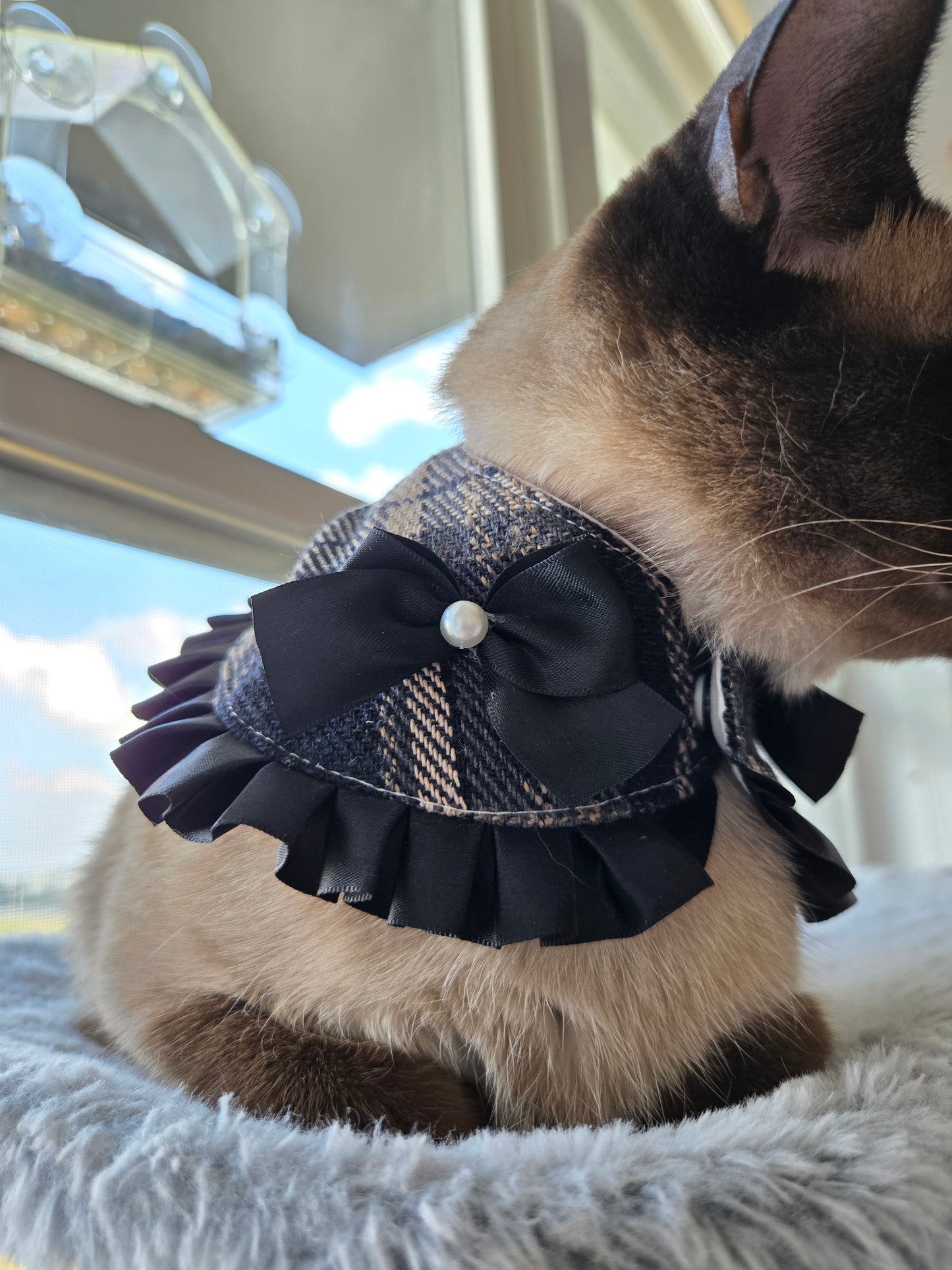 La Petite Sorcière Pet Bandana
