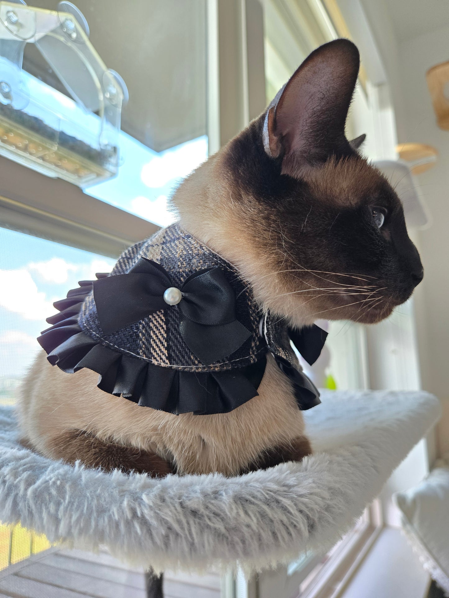 La Petite Sorcière Pet Bandana