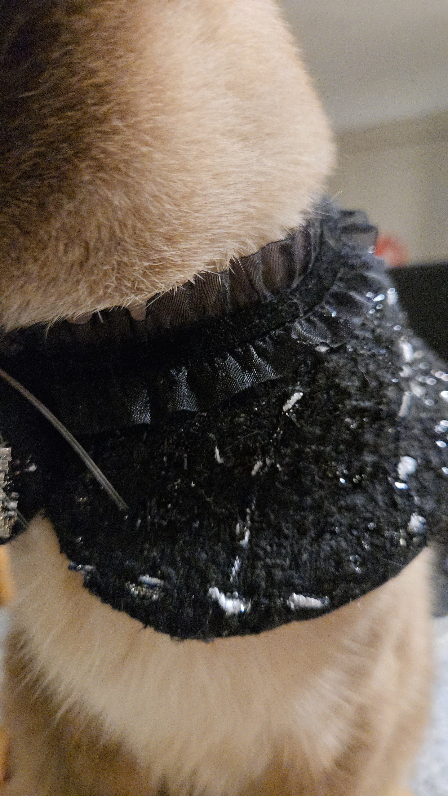 La Grand Sorcière Pet Bandana