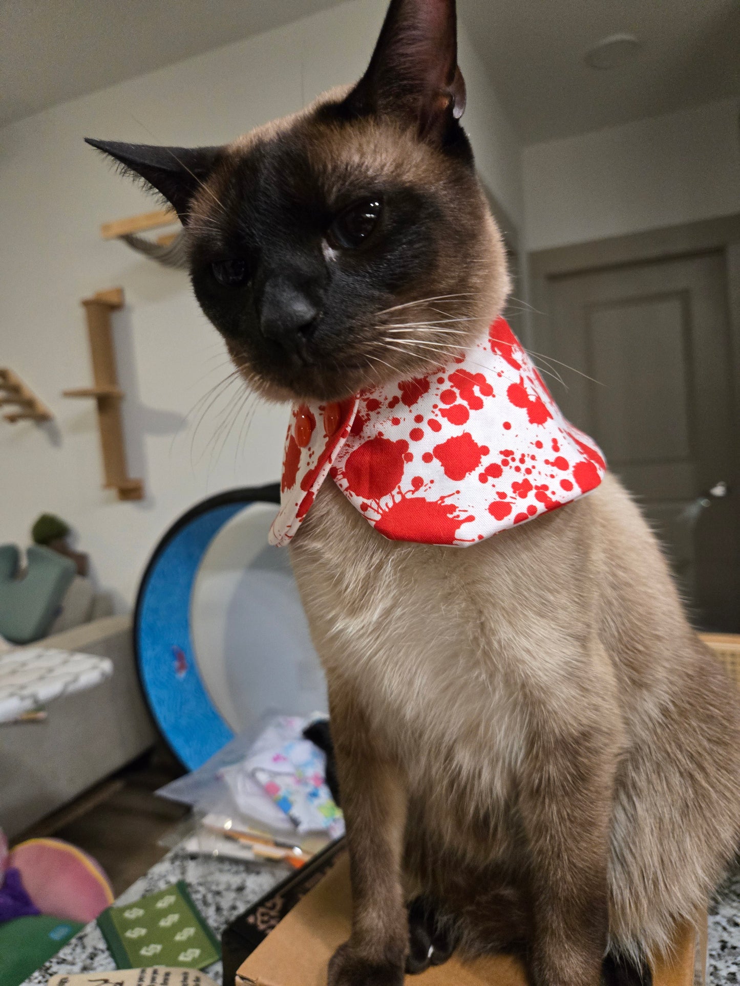 Meowsacre Pet Bandana