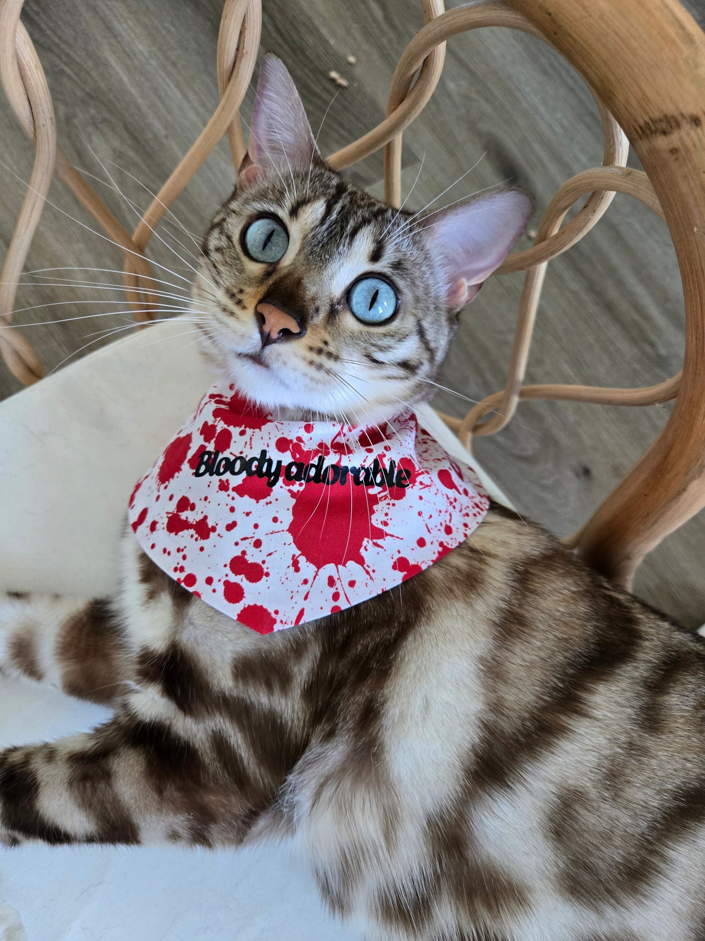 Meowsacre Pet Bandana