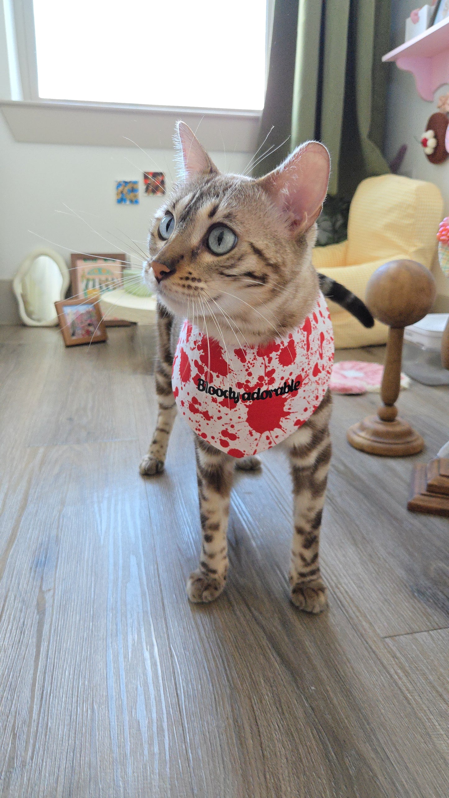 Meowsacre Pet Bandana