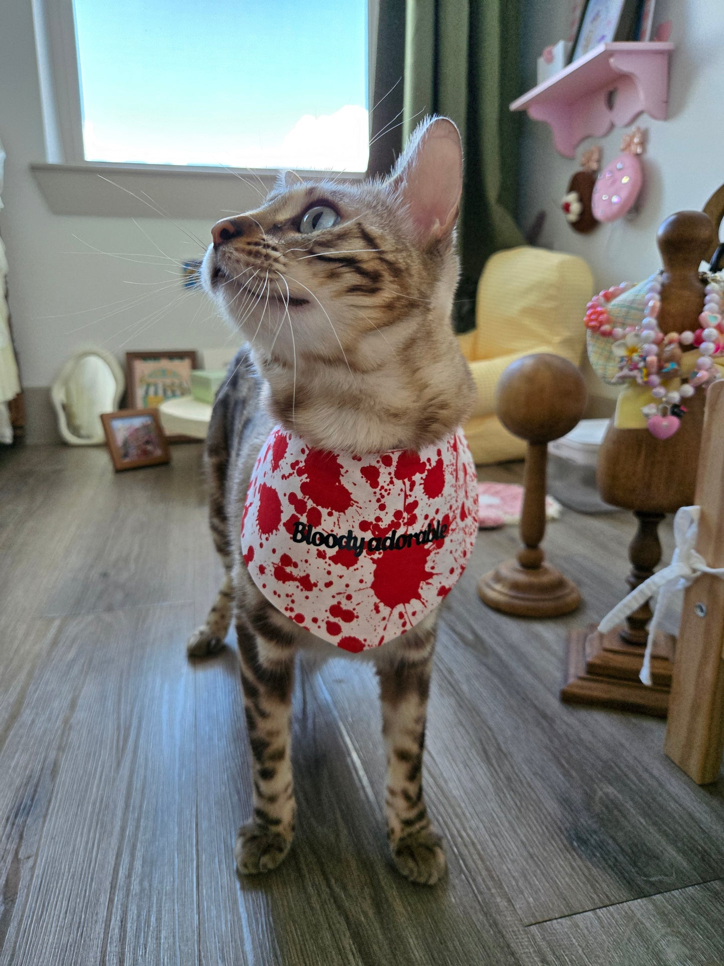 Meowsacre Pet Bandana