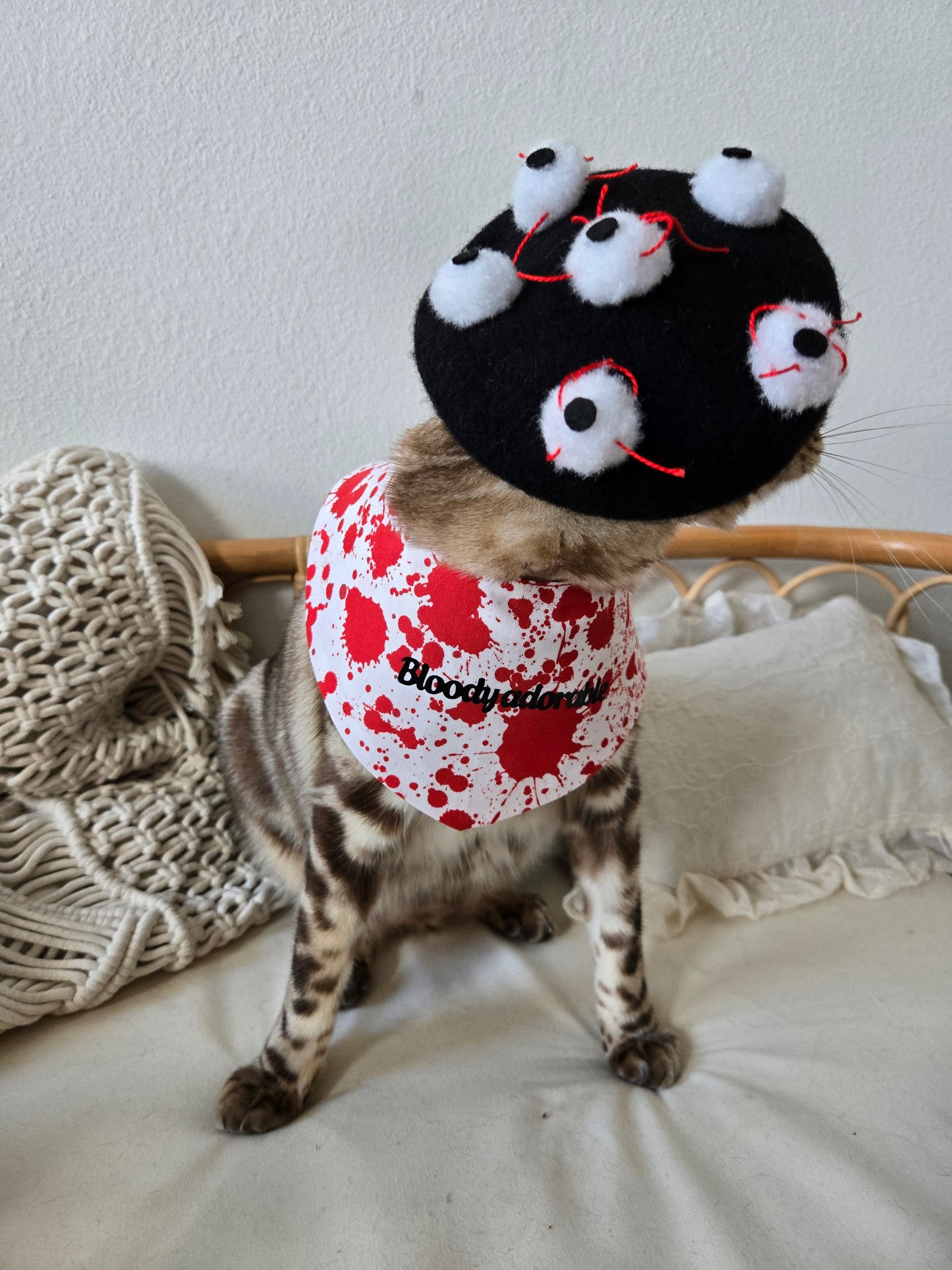 Le Étrange Pet Beret