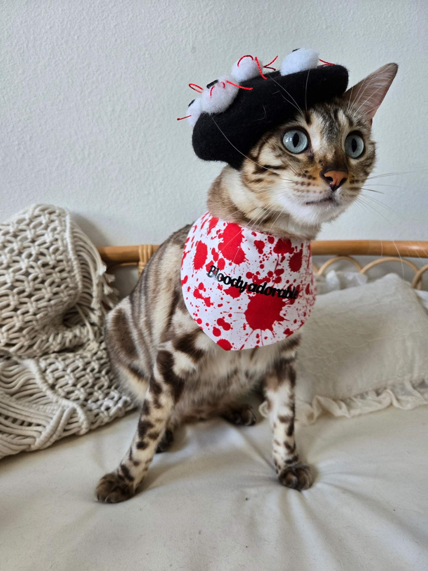 Meowsacre Pet Bandana