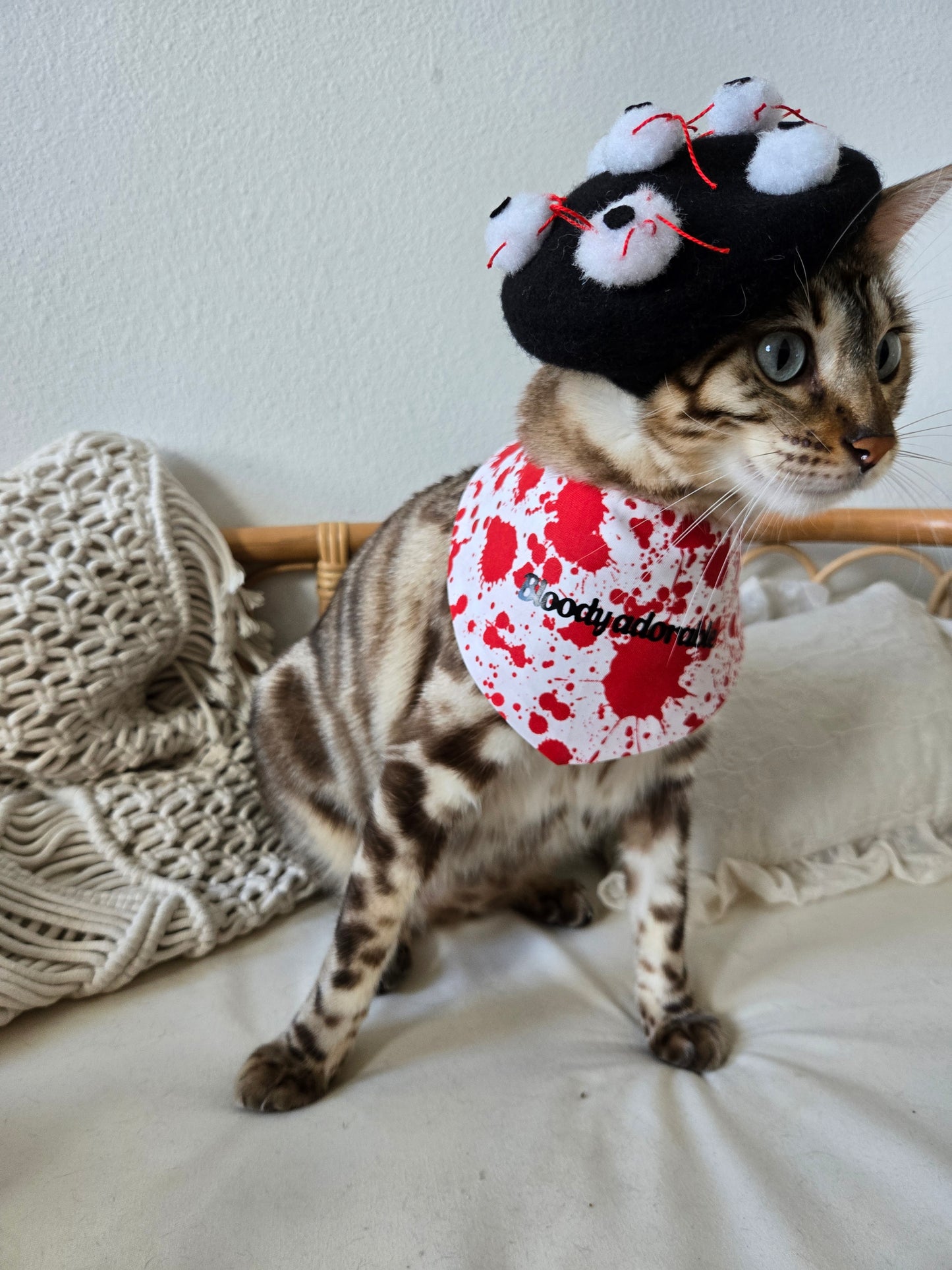 Le Étrange Pet Beret