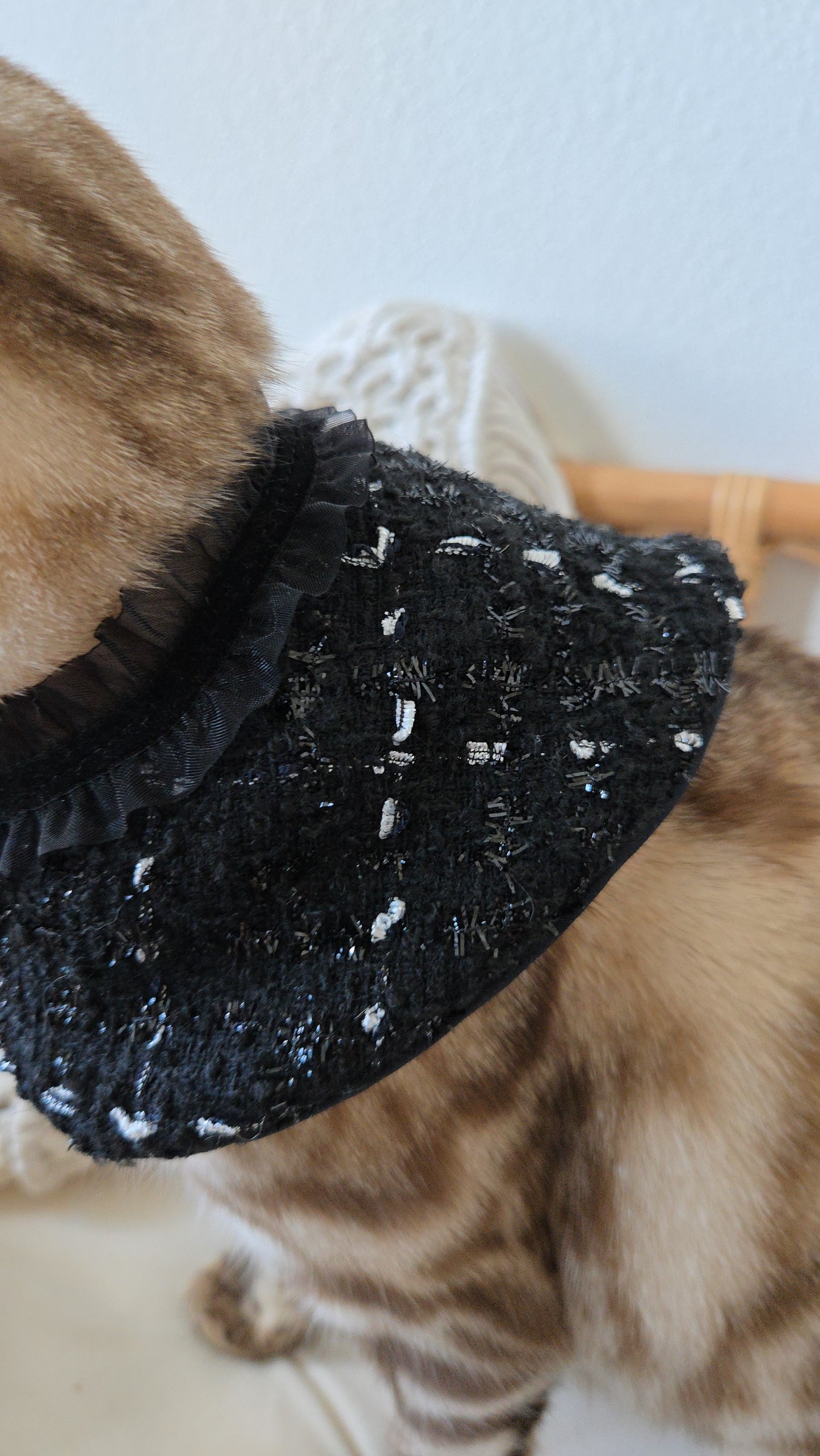 La Grand Sorcière Pet Bandana