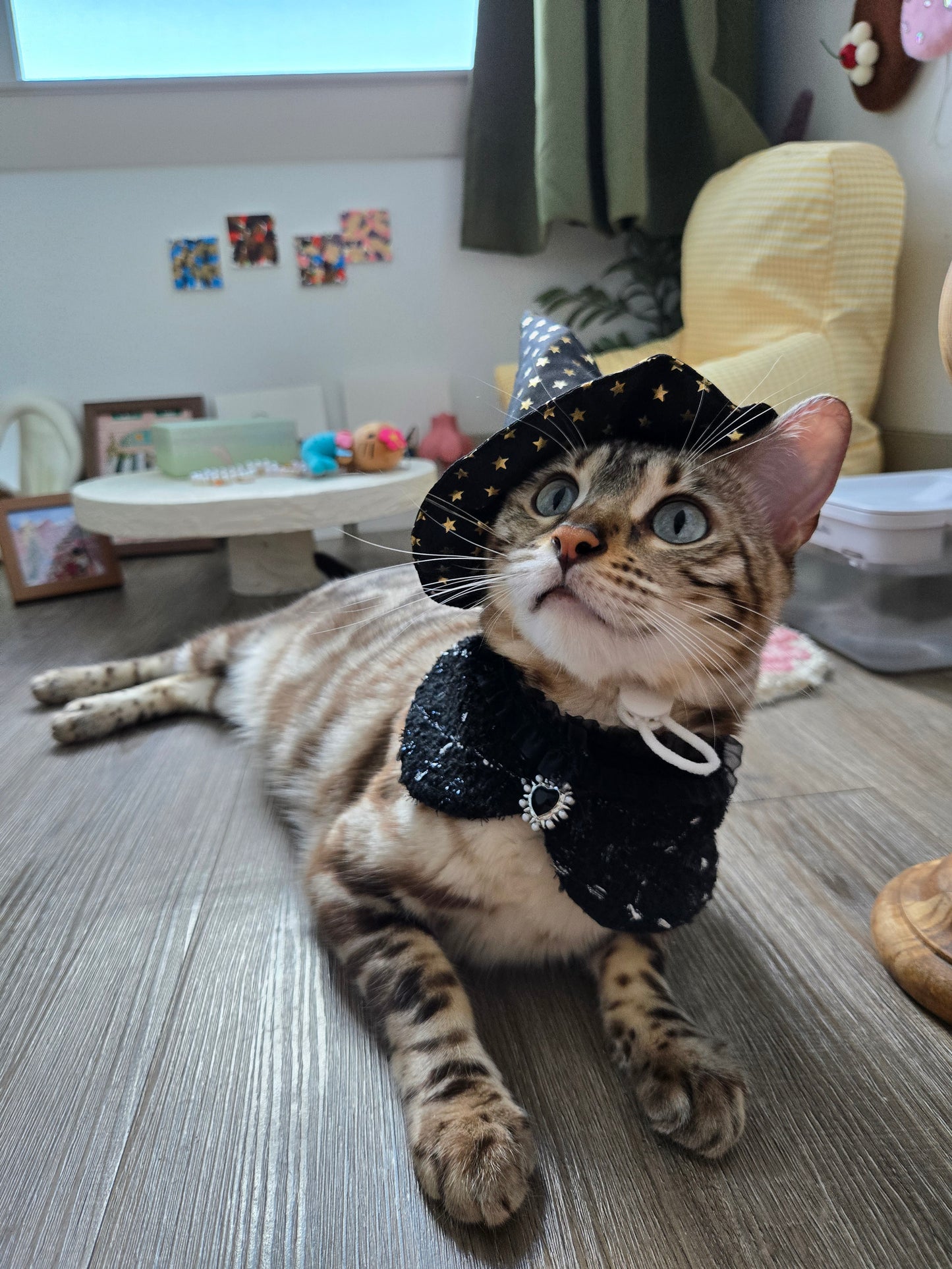 La Grande Sorcière Pet Hat