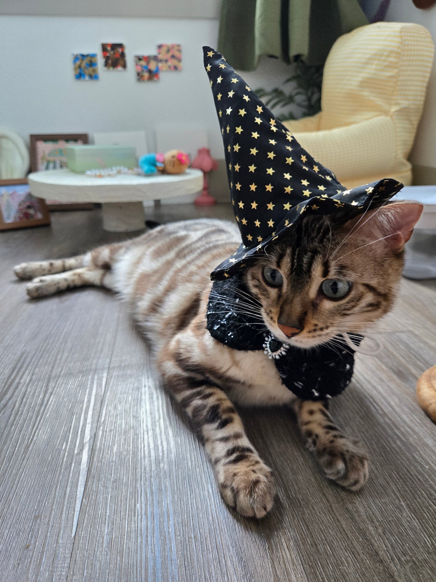 La Grande Sorcière Pet Hat