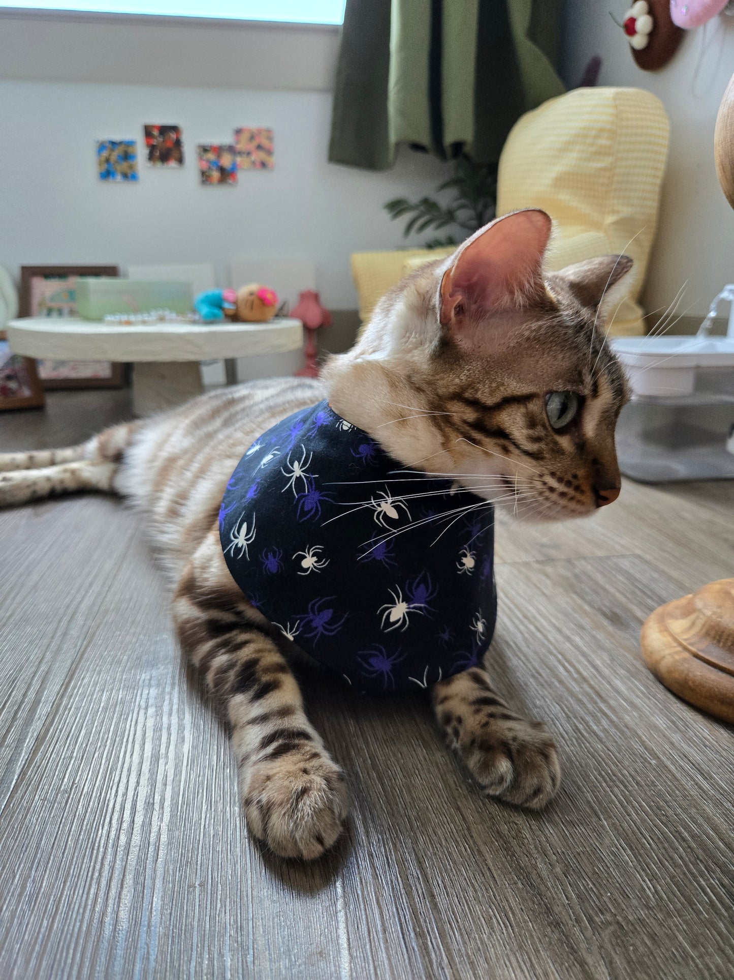 Witching Hour Pet Bandana (Glow in the dark) (reversible 4-way wear)