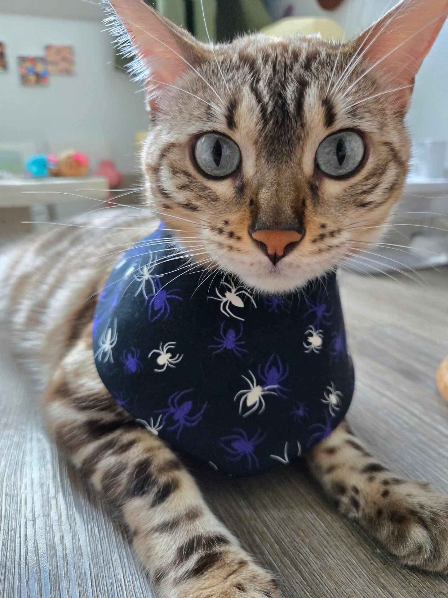 Witching Hour Pet Bandana (Glow in the dark) (reversible 4-way wear)
