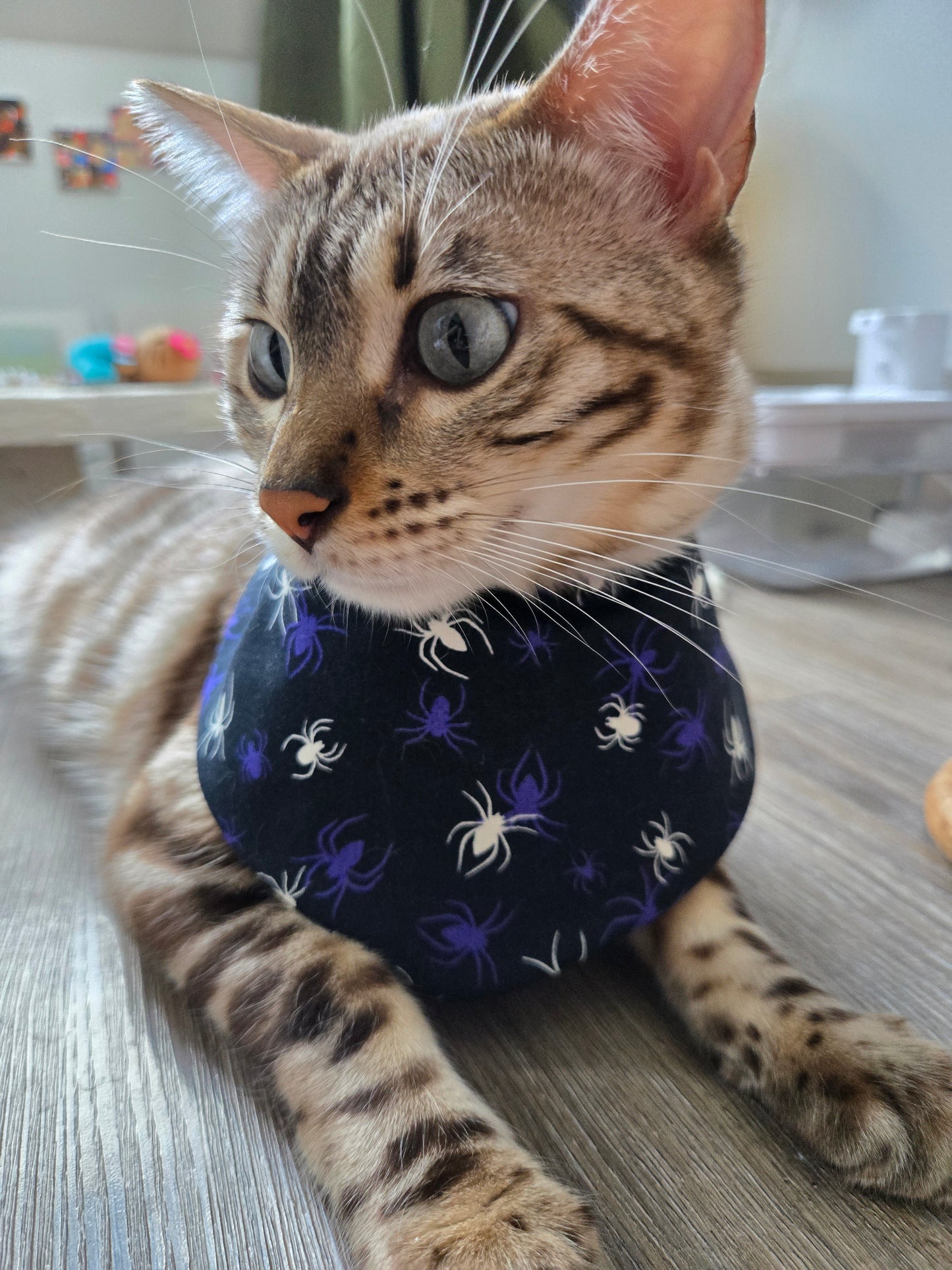 Witching Hour Pet Bandana (Glow in the dark) (reversible 4-way wear)