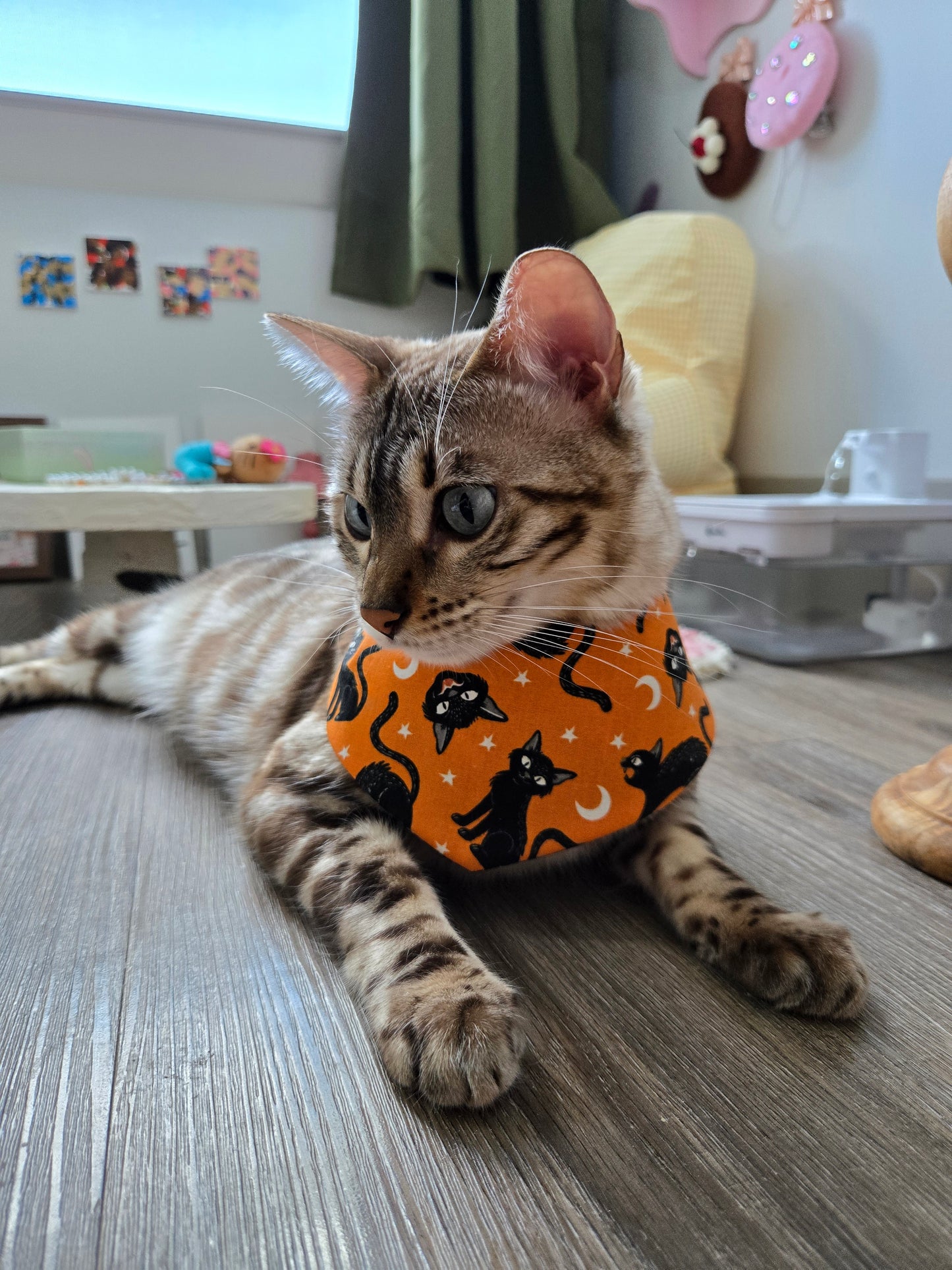 Witching Hour Pet Bandana (Glow in the dark) (reversible 4-way wear)