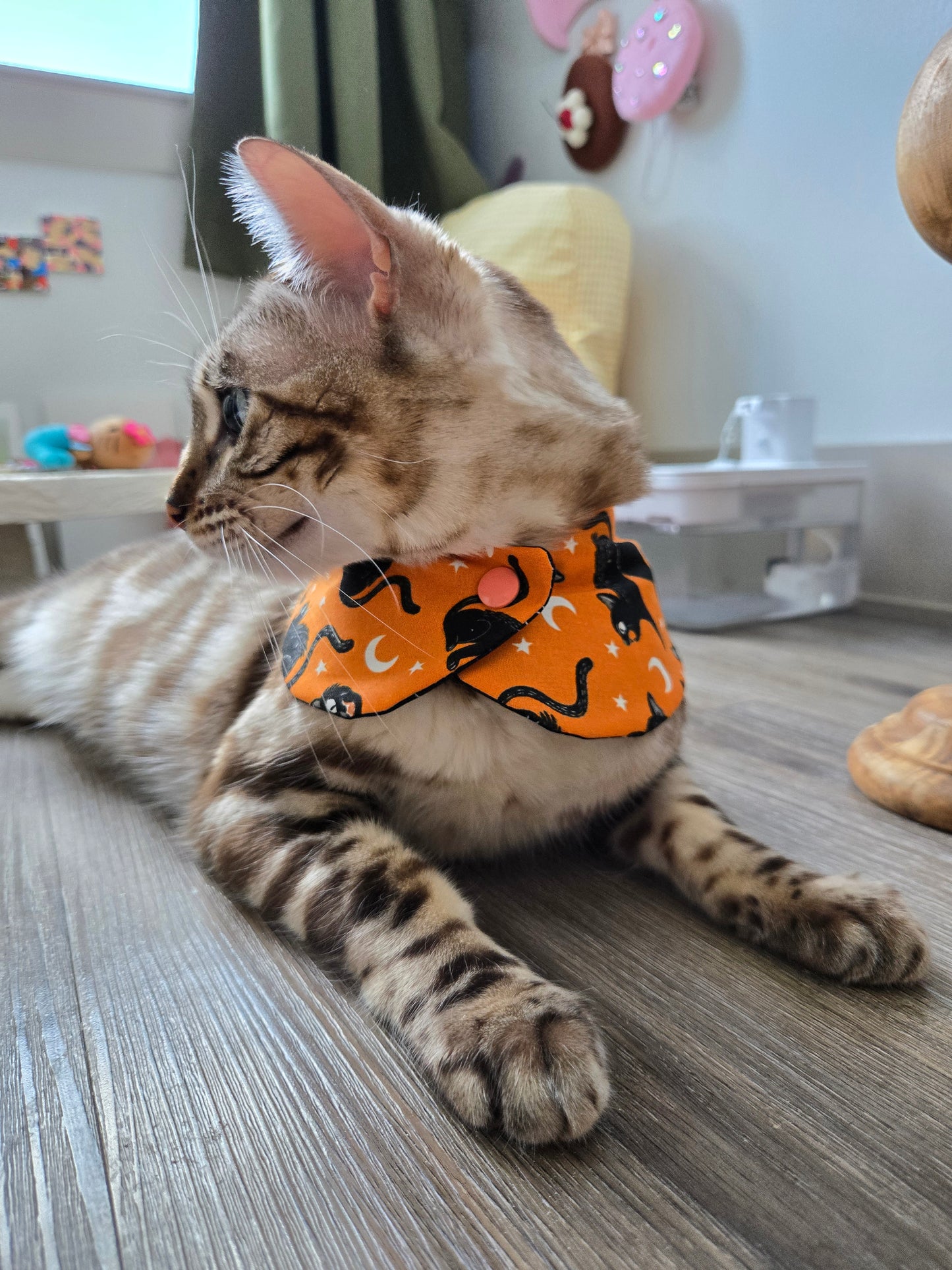 Witching Hour Pet Bandana (Glow in the dark) (reversible 4-way wear)