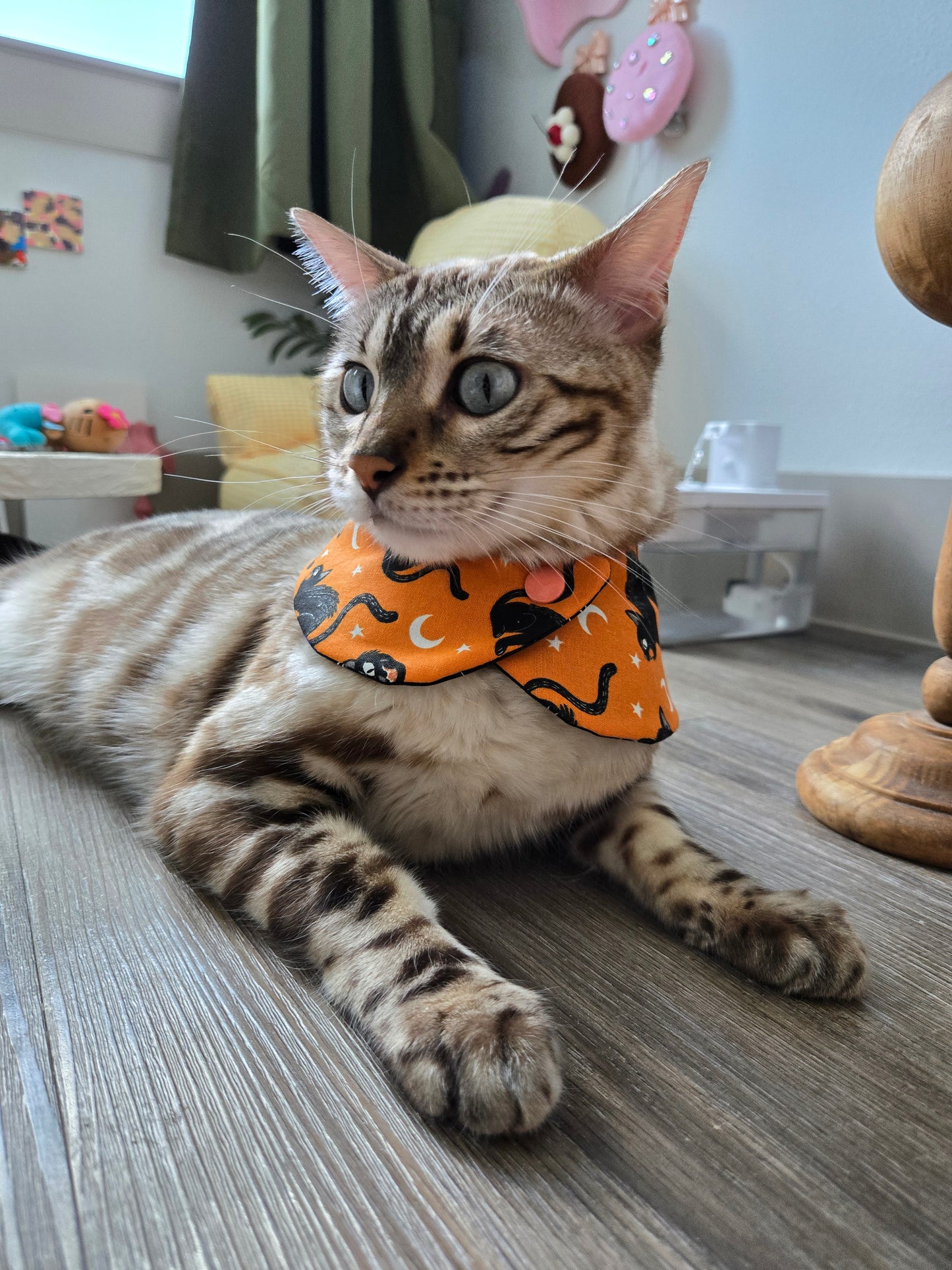 Witching Hour Pet Bandana (Glow in the dark) (reversible 4-way wear)