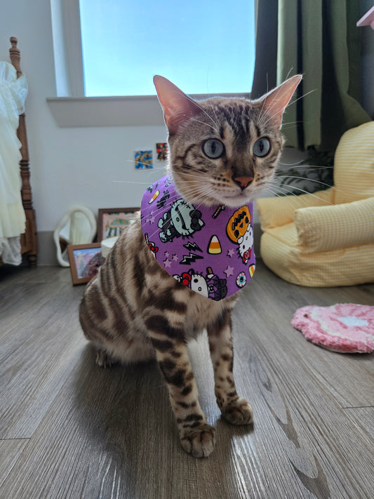 Hallo-Kawaii Pet Bandana (reversible 4-way wear)