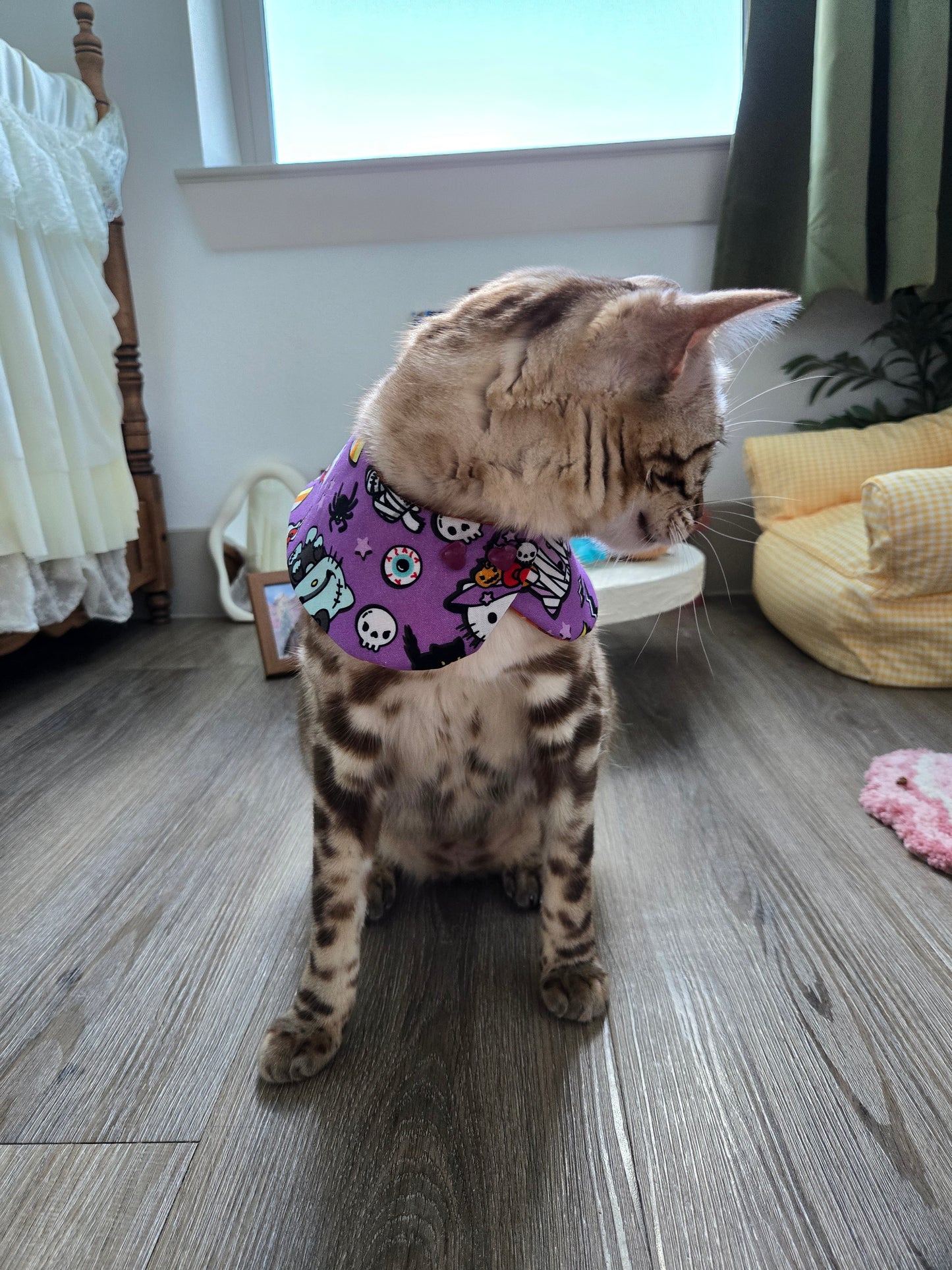 Hallo-Kawaii Pet Bandana (reversible 4-way wear)