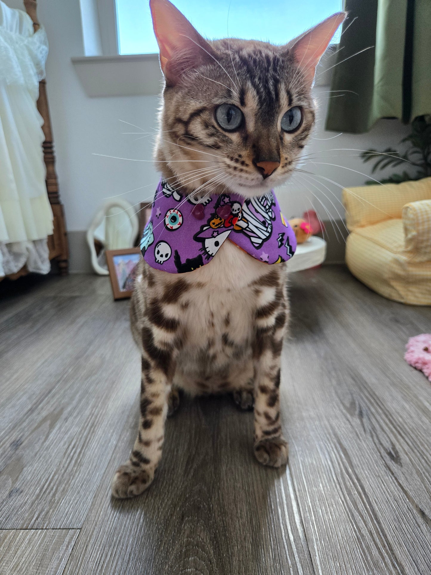 Hallo-Kawaii Pet Bandana (reversible 4-way wear)