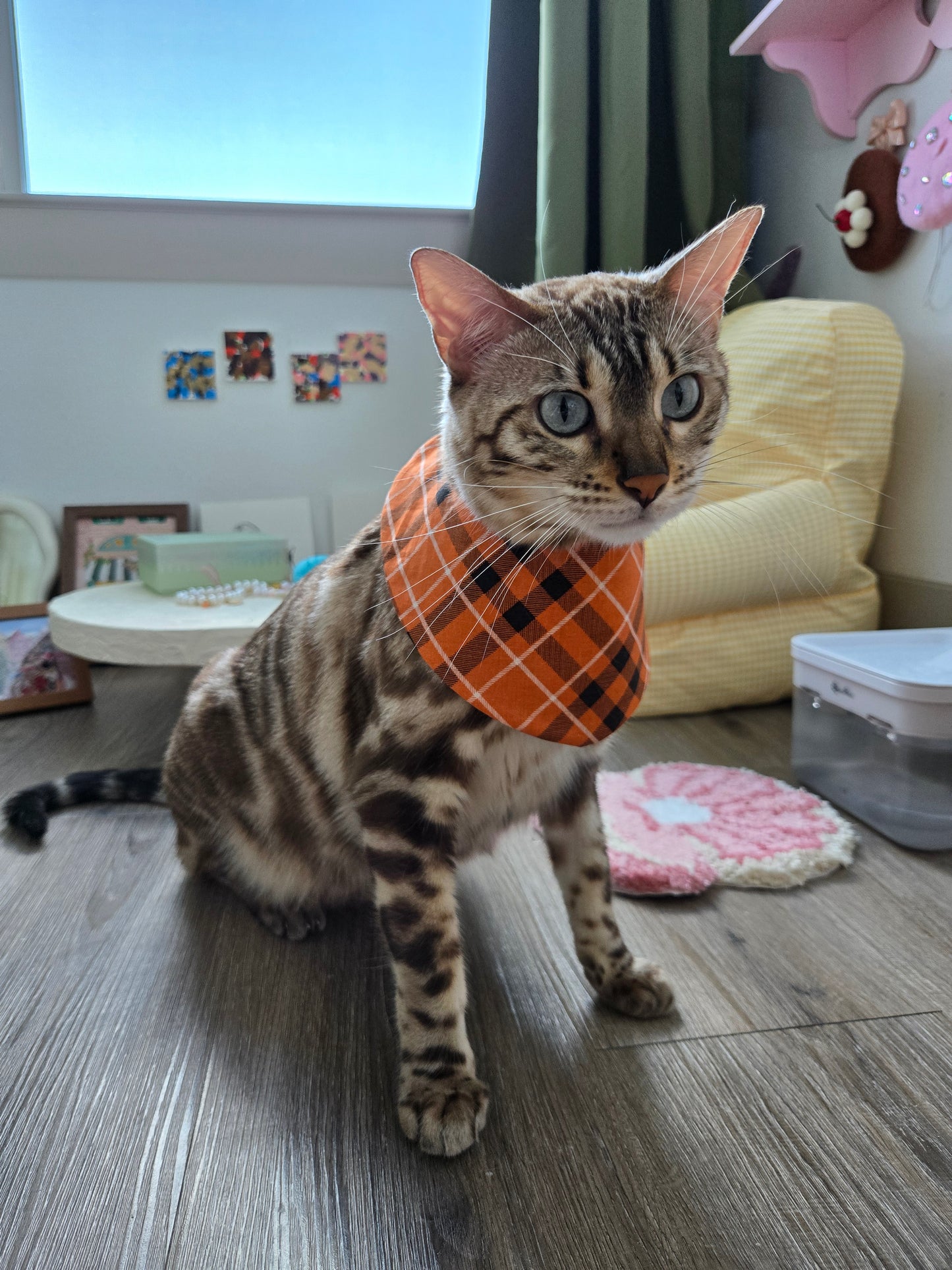 Hallo-Kawaii Pet Bandana (reversible 4-way wear)