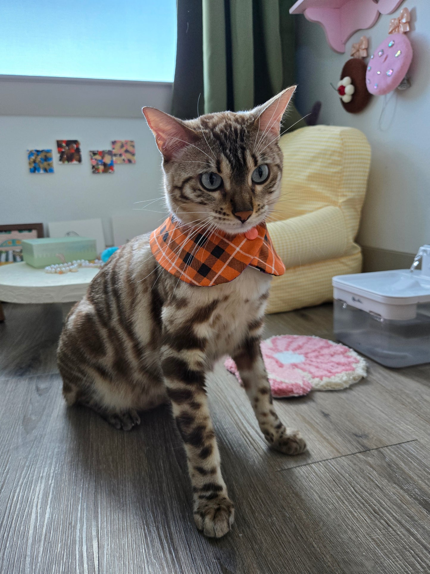 Hallo-Kawaii Pet Bandana (reversible 4-way wear)