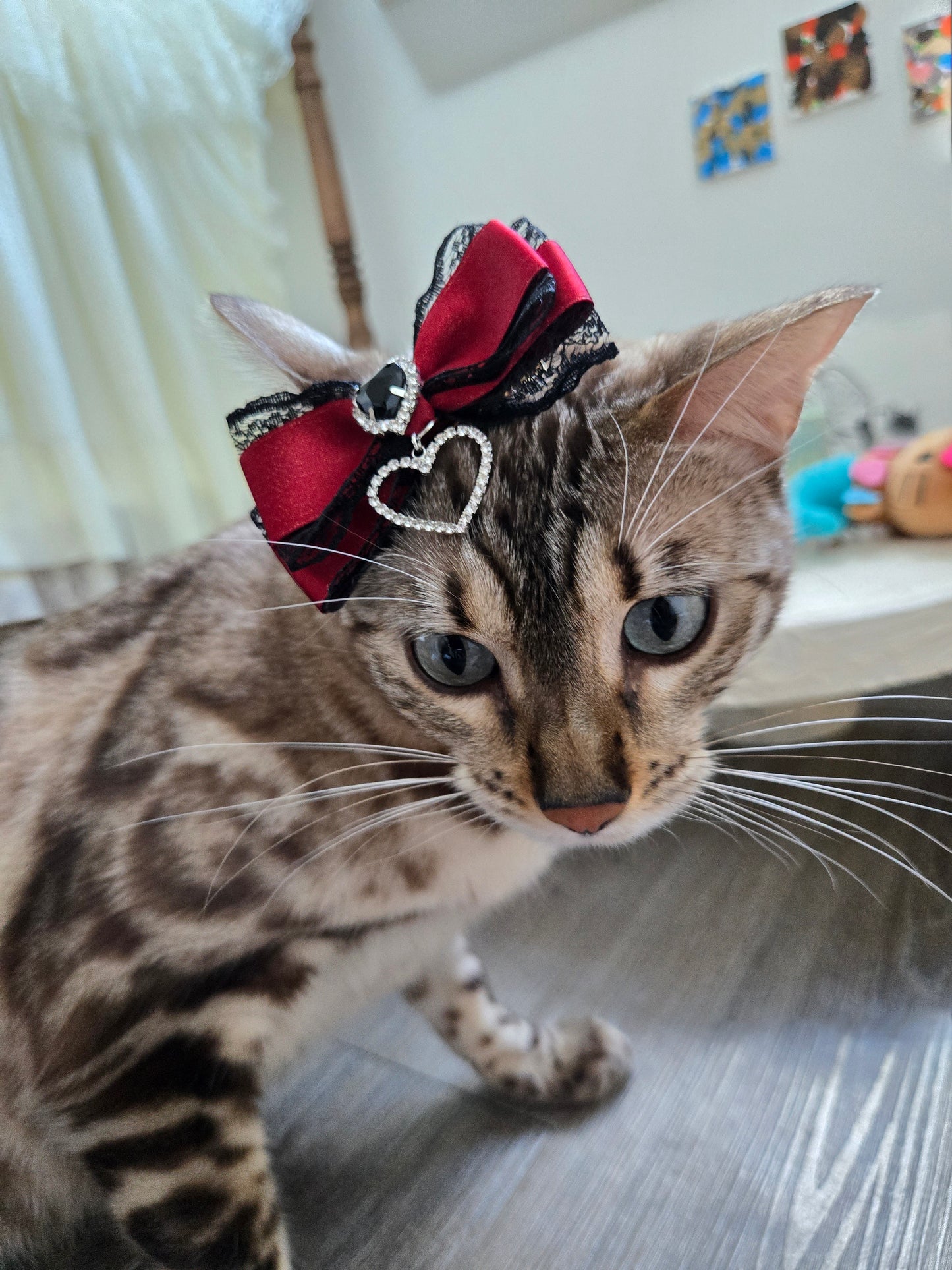 Scarlet Sorcery Pet/Human Hair Clip