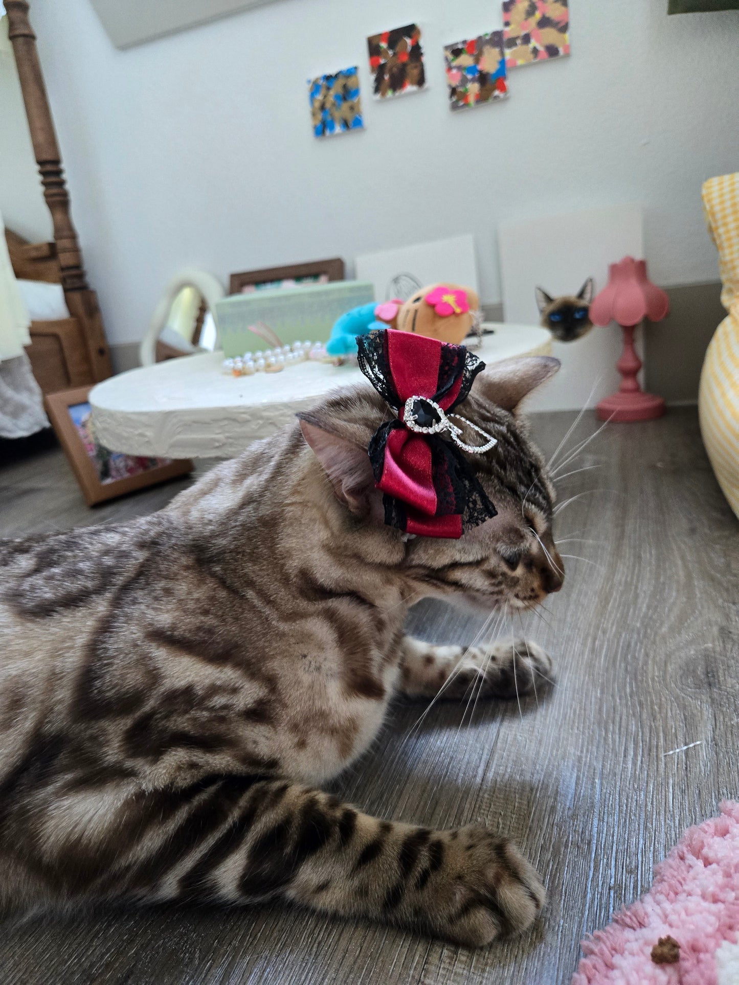 Scarlet Sorcery Pet/Human Hair Clip