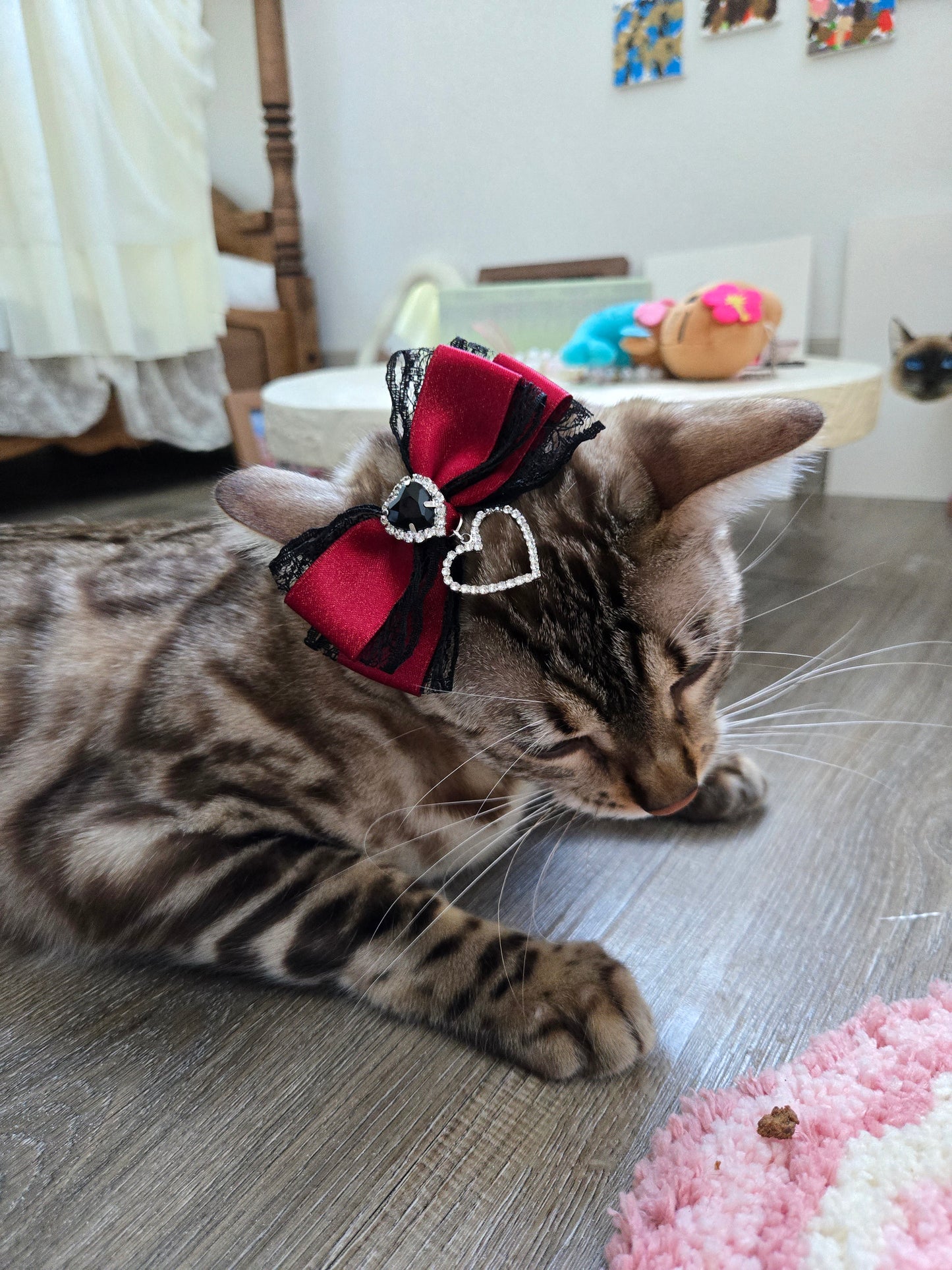 Scarlet Sorcery Pet/Human Hair Clip