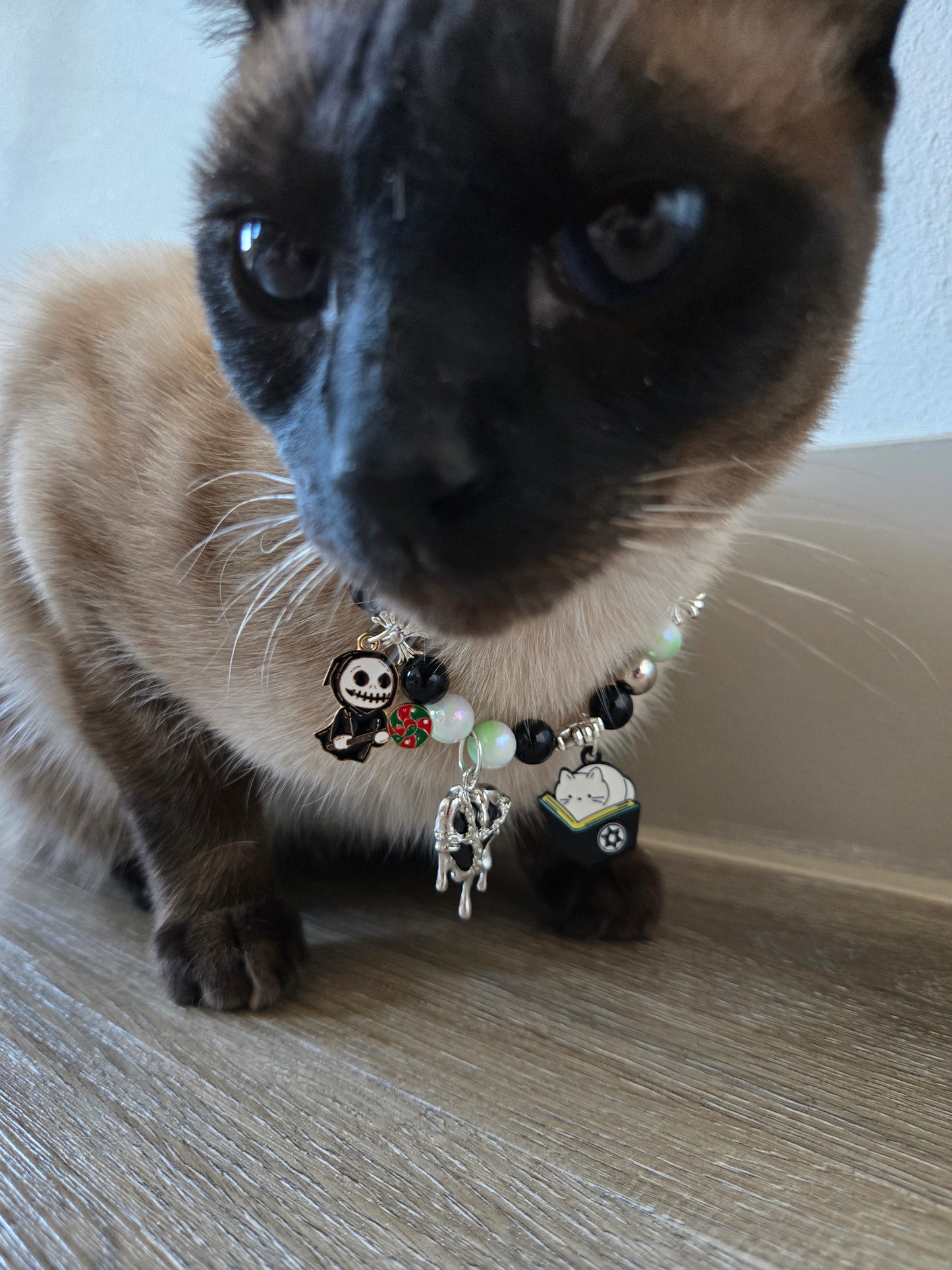 Worship Meow Pet Necklace