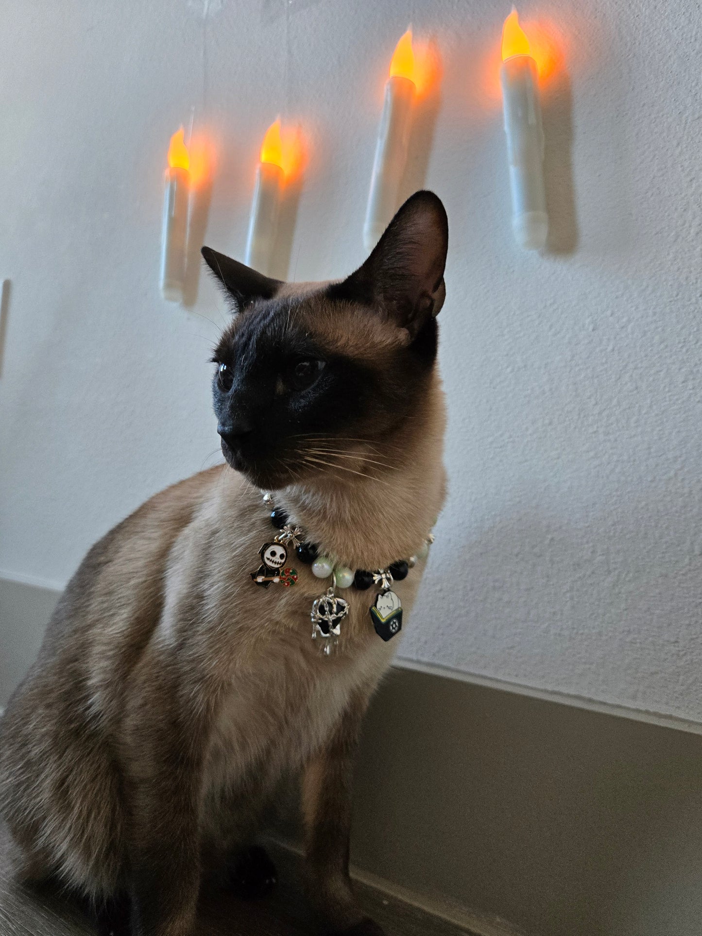 Worship Meow Pet Necklace