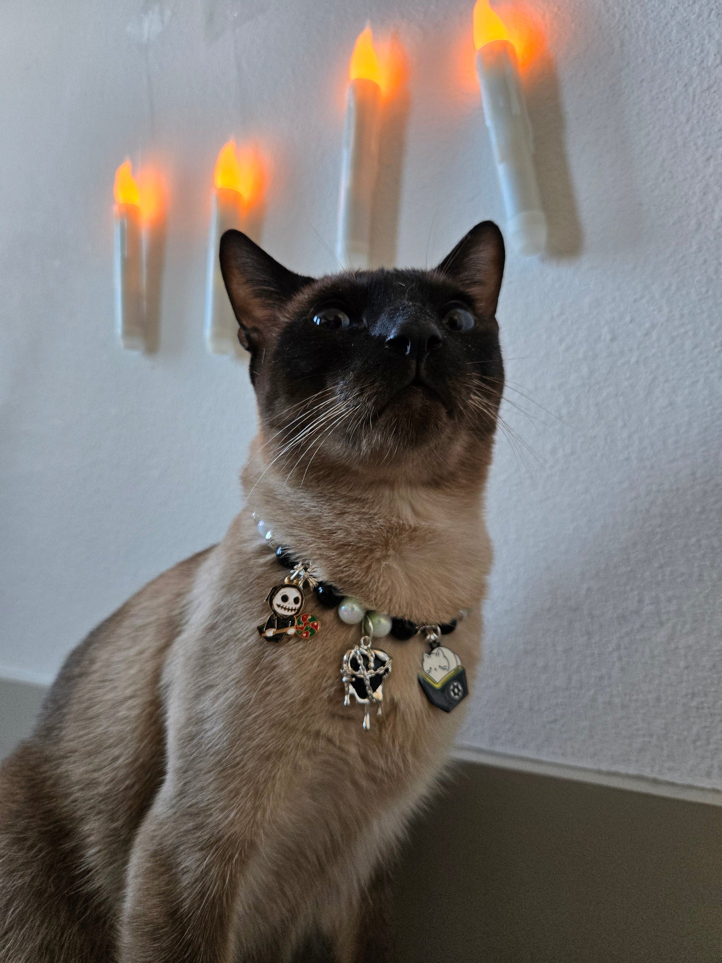 Worship Meow Pet Necklace