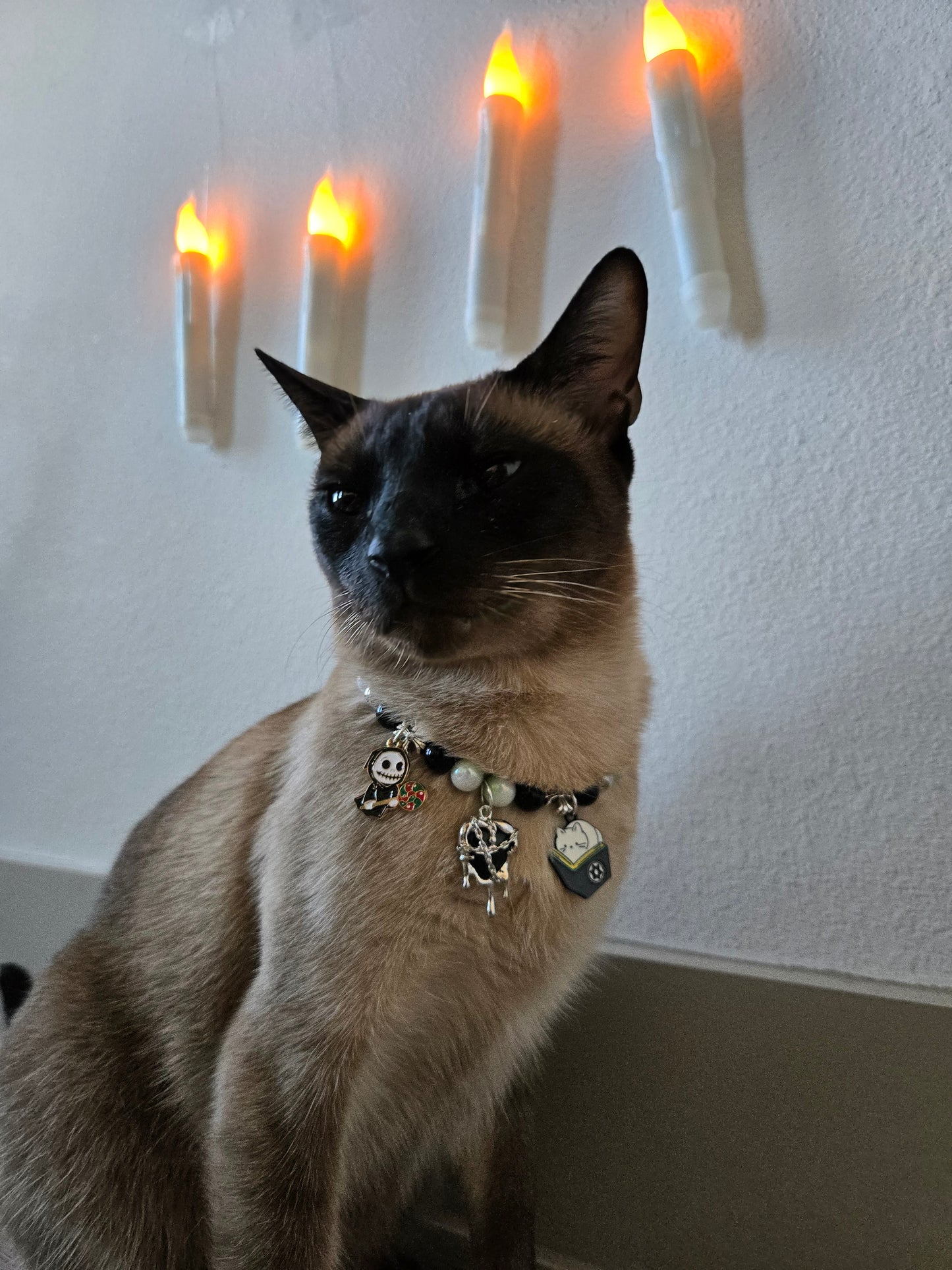 Worship Meow Pet Necklace