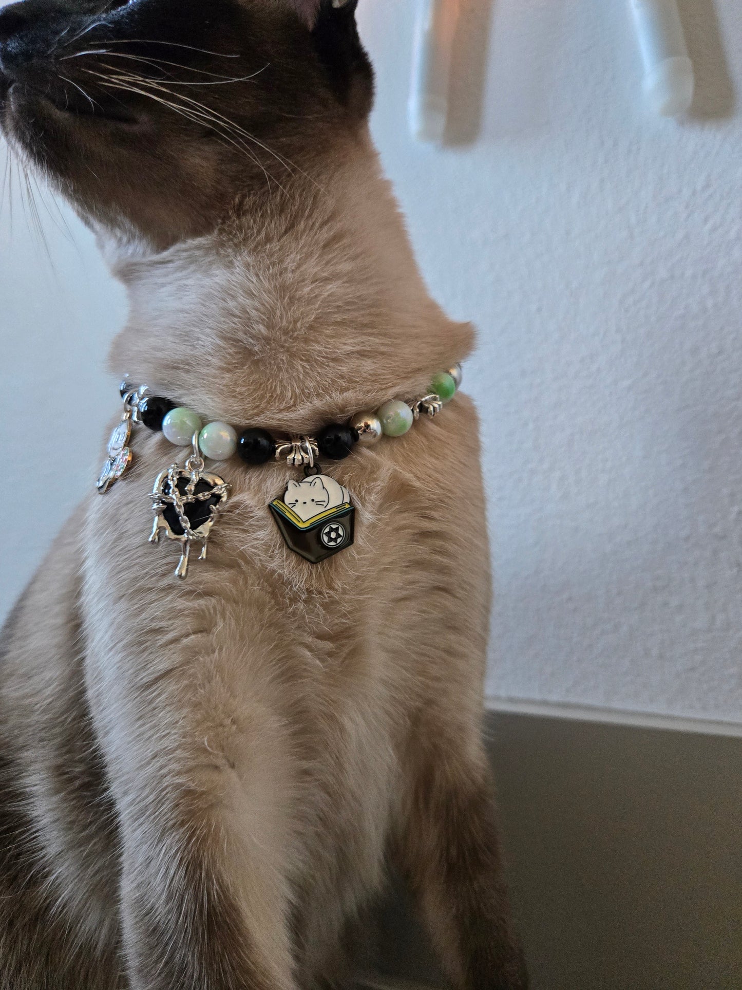 Worship Meow Pet Necklace