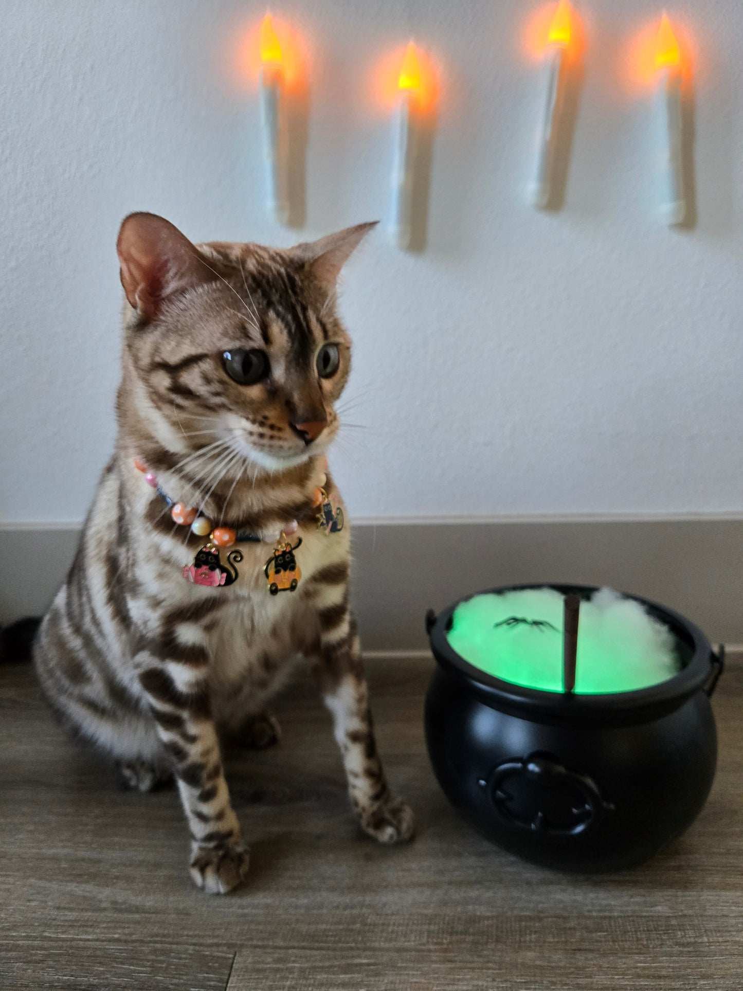 La Chat Sucrée (“The Sweet Cat”) Pet Necklace
